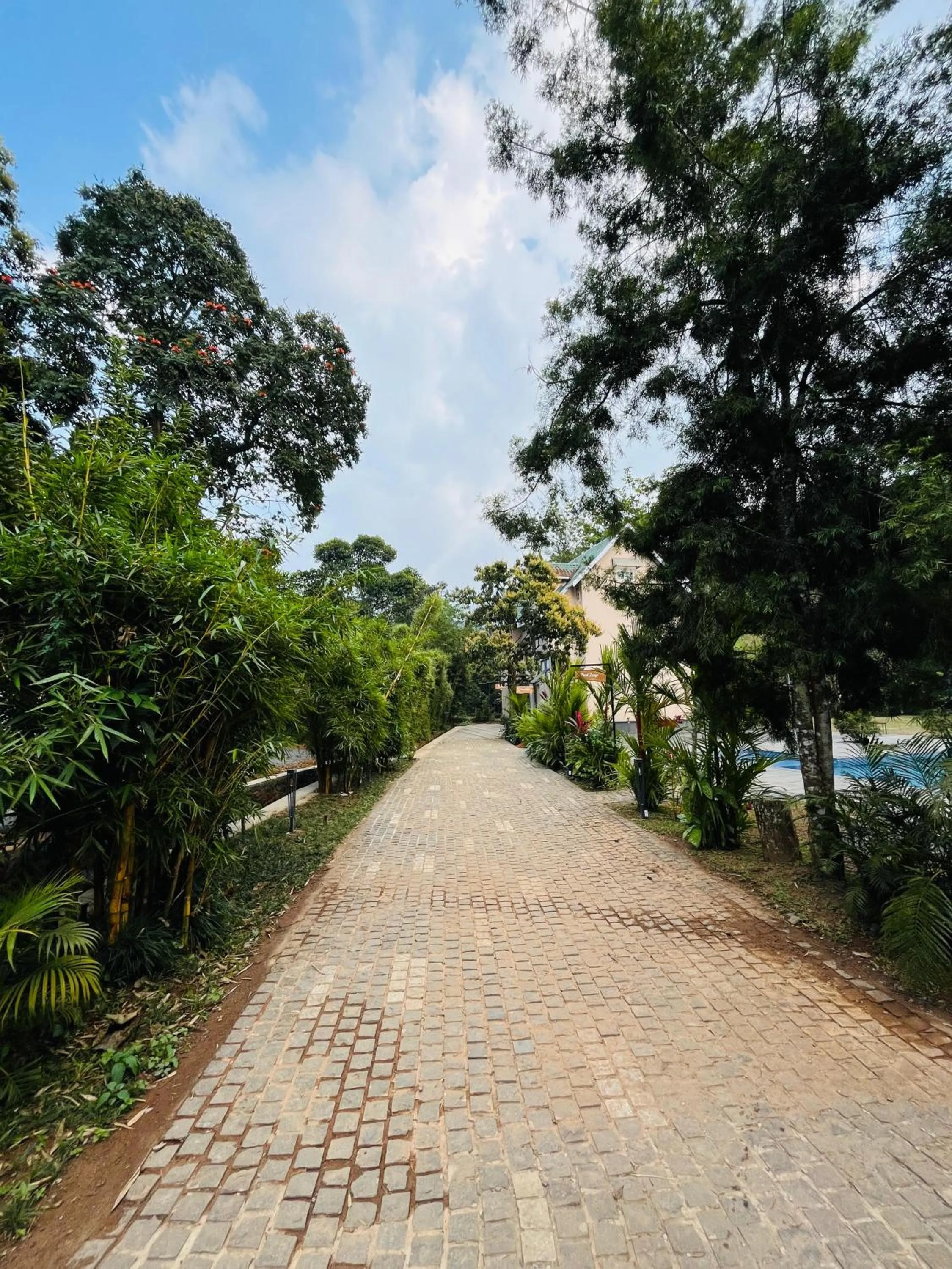 Vythiri Greens Holiday Resorts