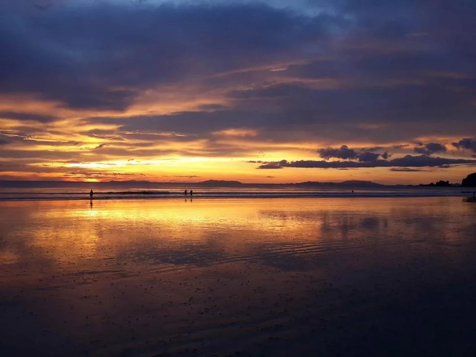Natural landscape in JJ Beach Resort & JJ Seafood