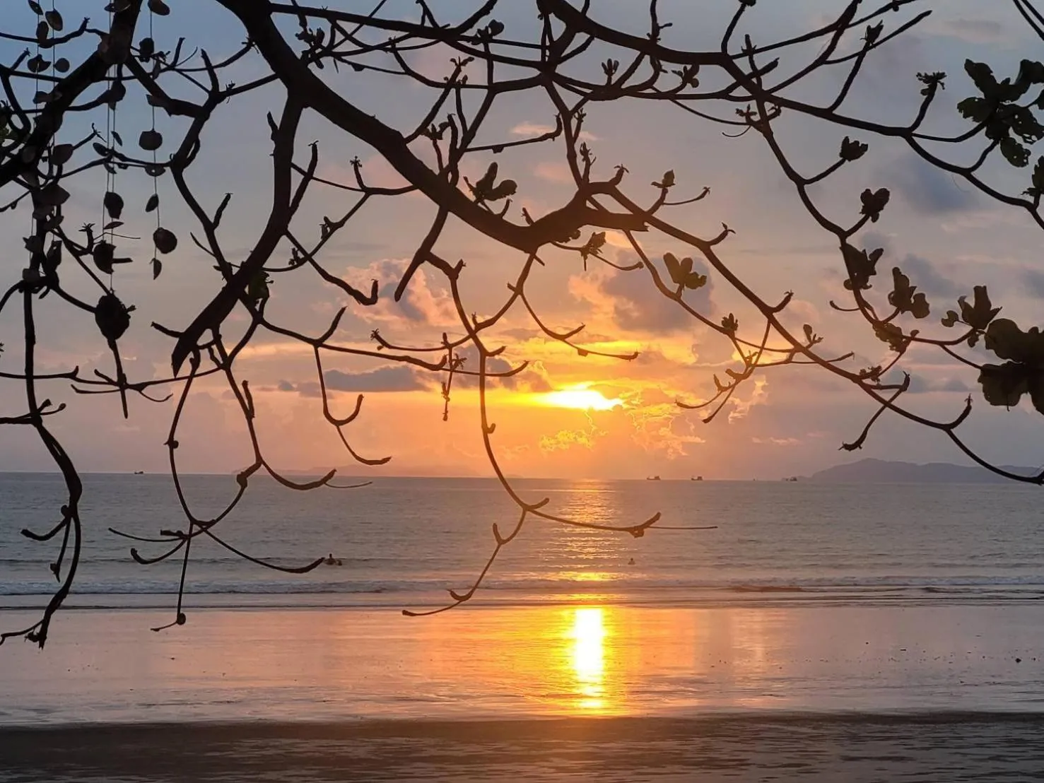 JJ Beach Resort & JJ Seafood