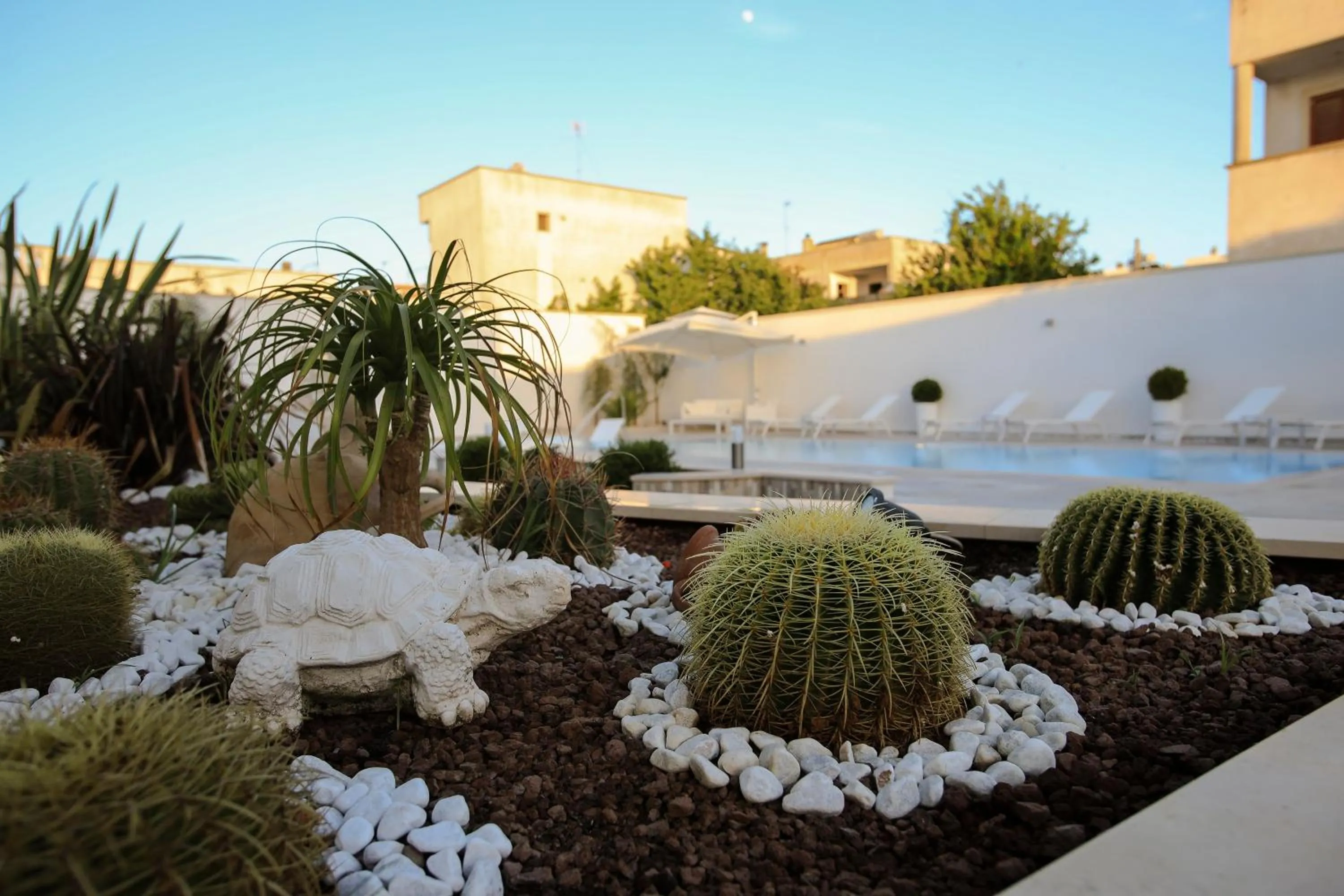 Garden in Il Baiocco affittacamere piscina & SPA