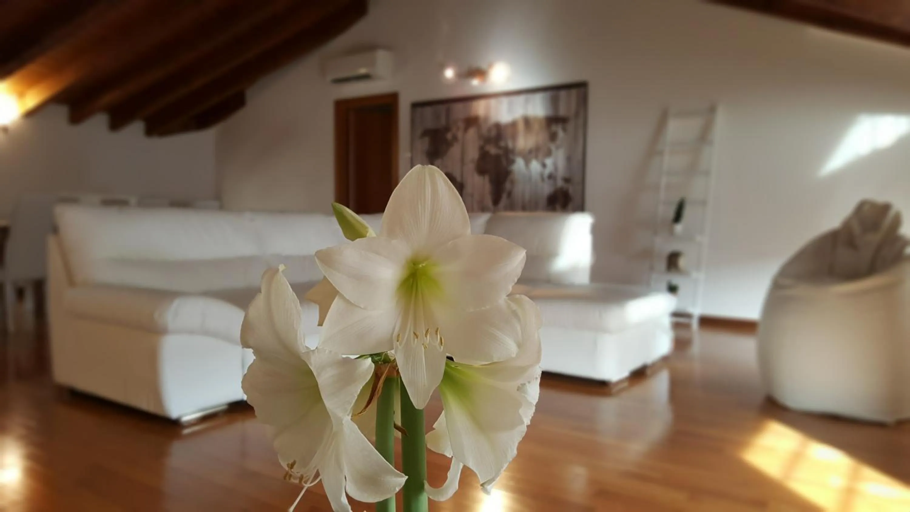 Decorative detail in Donizetti Royal