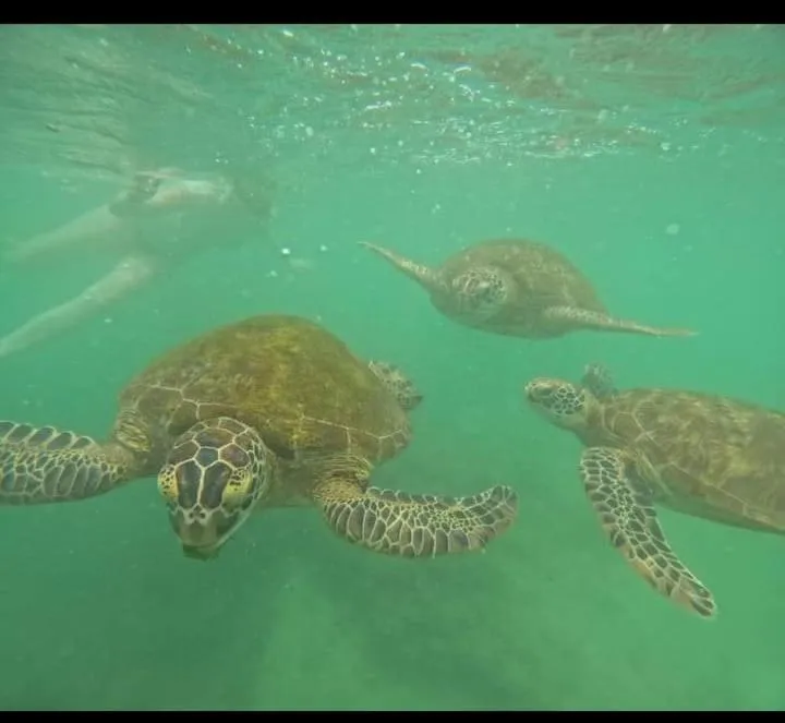 Wasana Ocean View Villa Mirissa