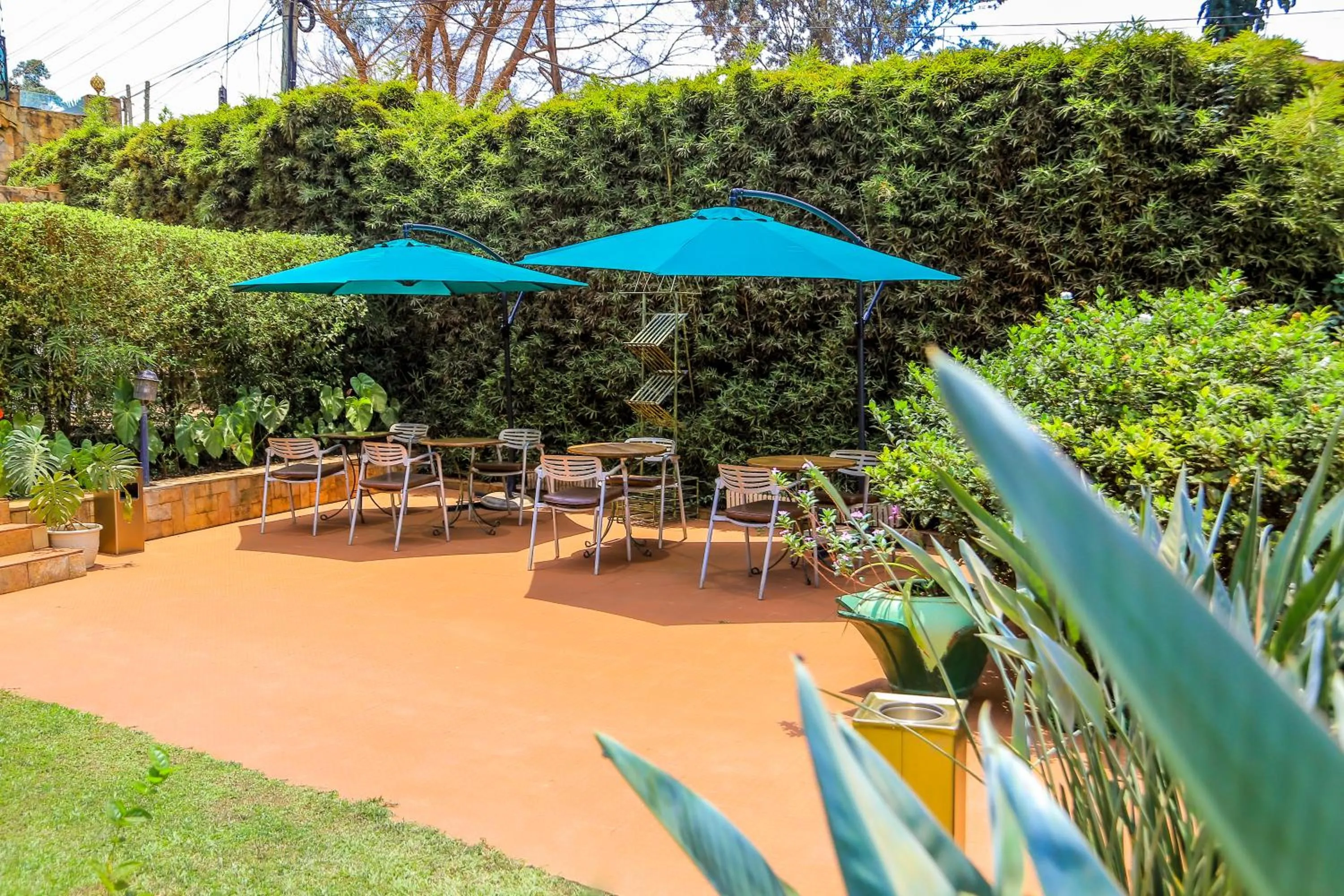 Garden view in Shangri-la Hotel Muyenga