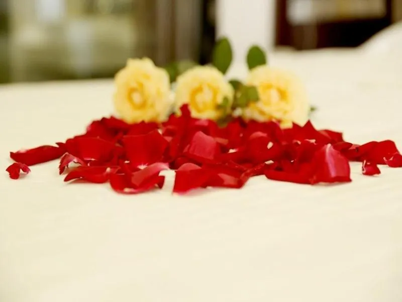 GreenTree Inn SiChuan Chengdu Airport Road Zhujiang Road Express Hotel