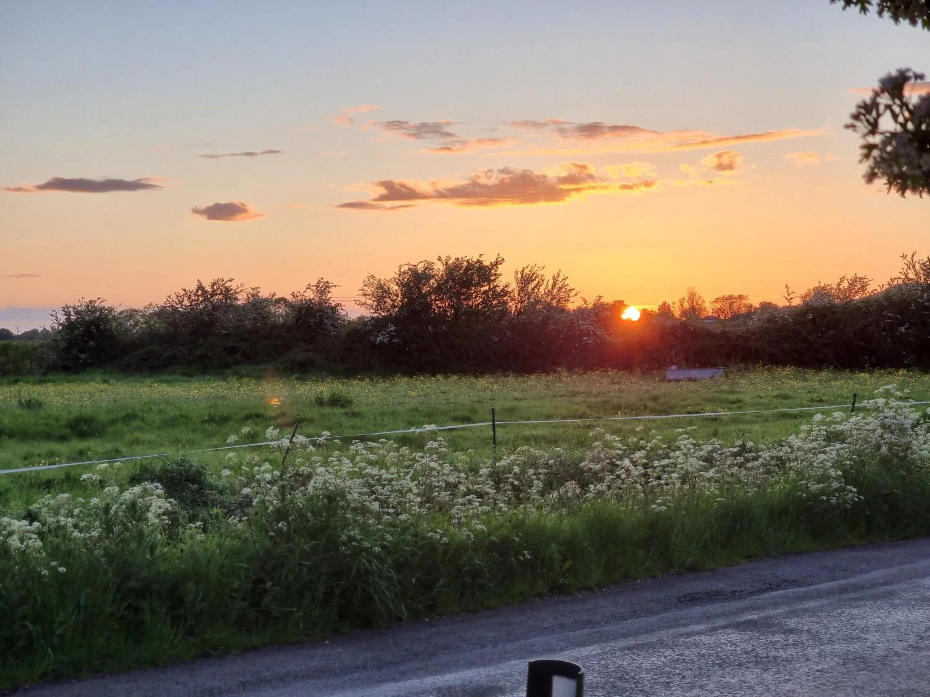 Natural landscape in Burnt House Farm