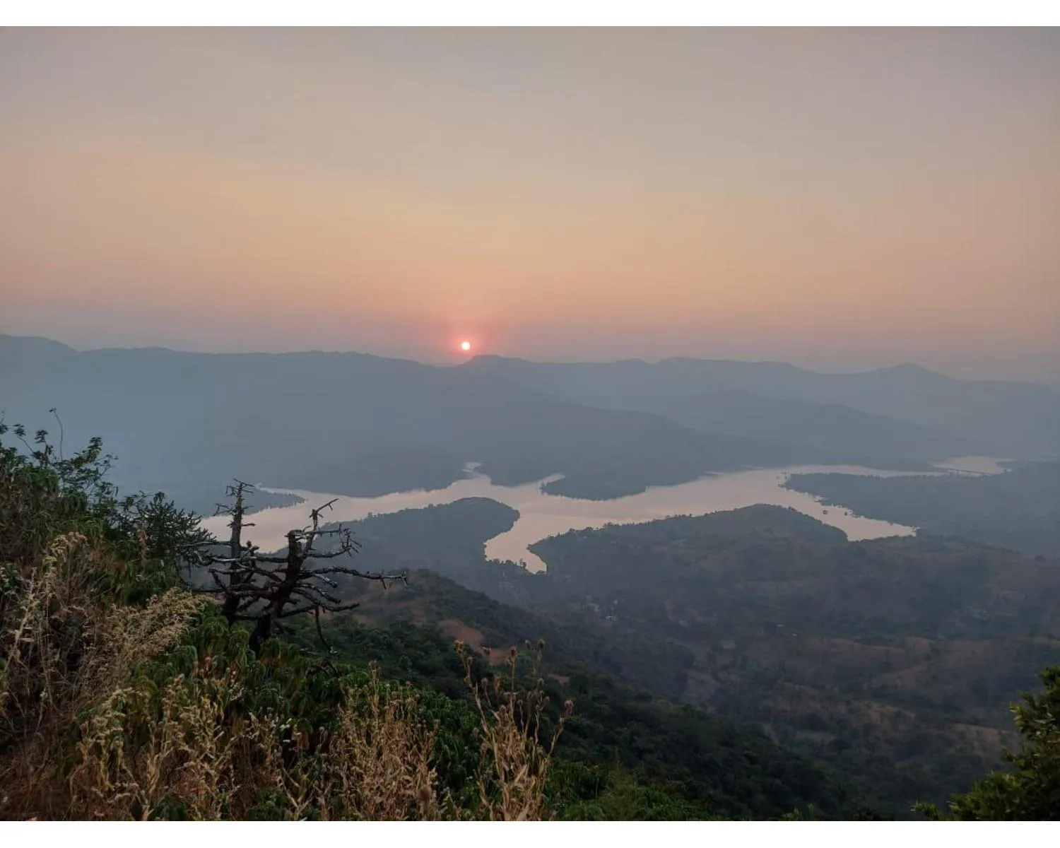 The shelar's Royal inn