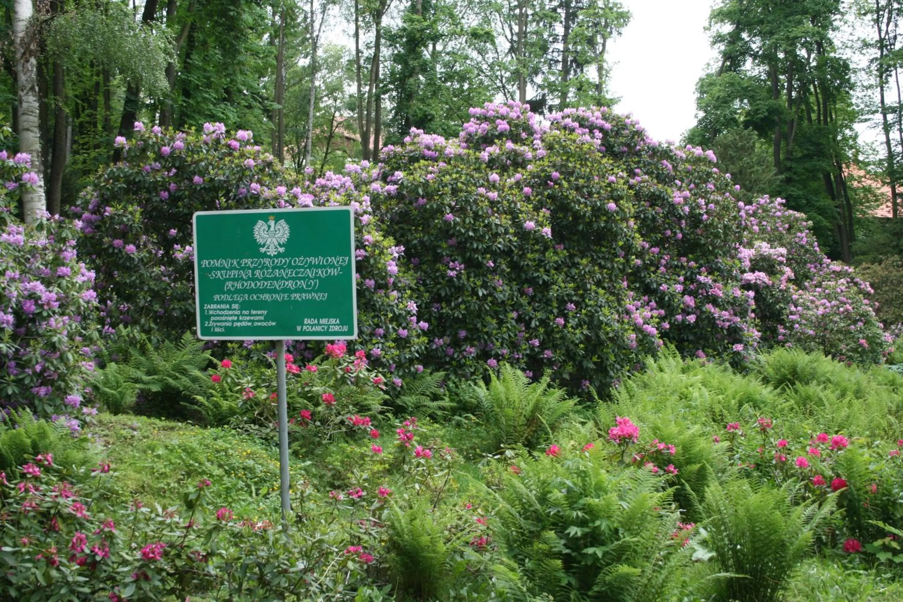 Garden in Willa Zameczek