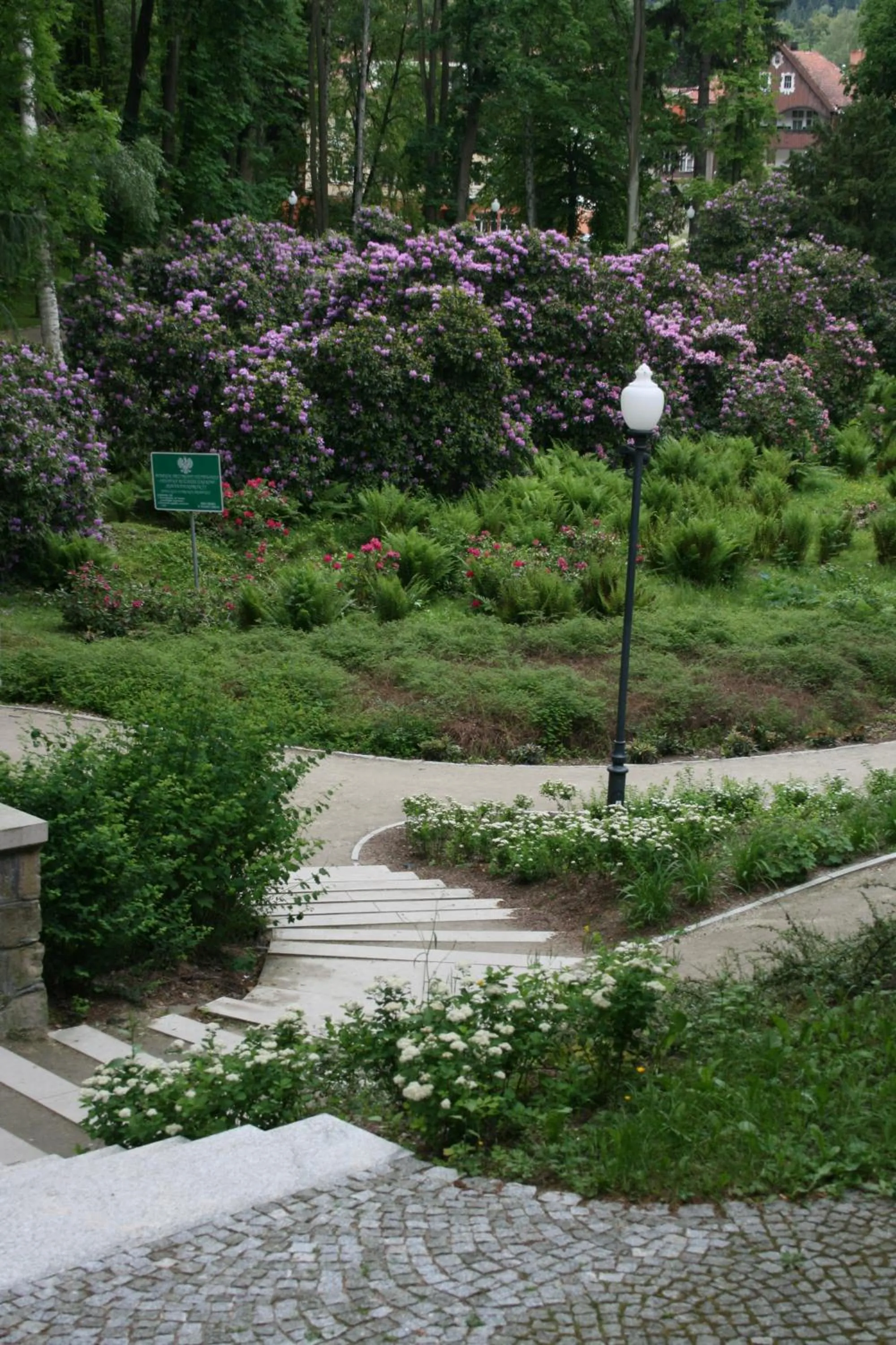 Garden in Willa Zameczek