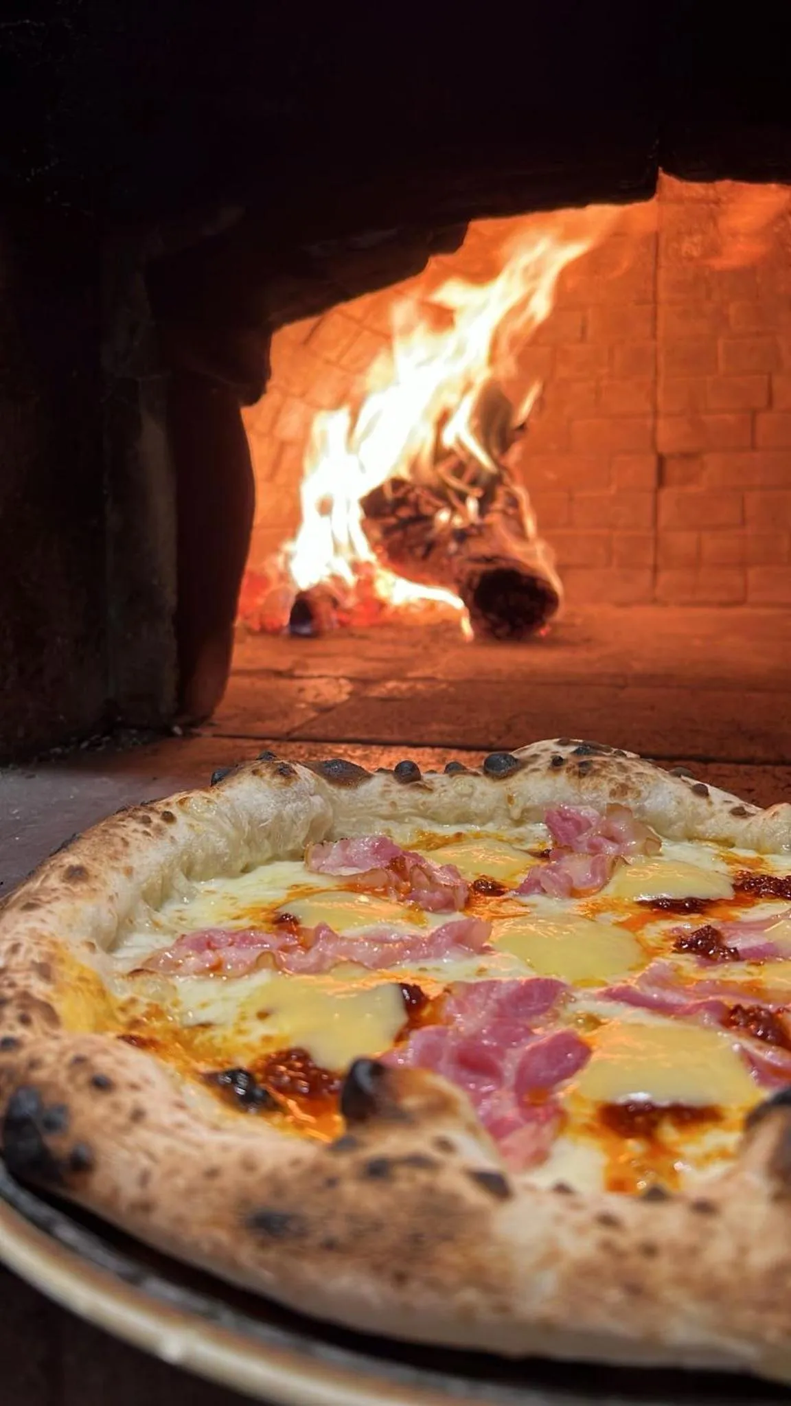 Il Grifo Hotel e Bisteccheria Toscana