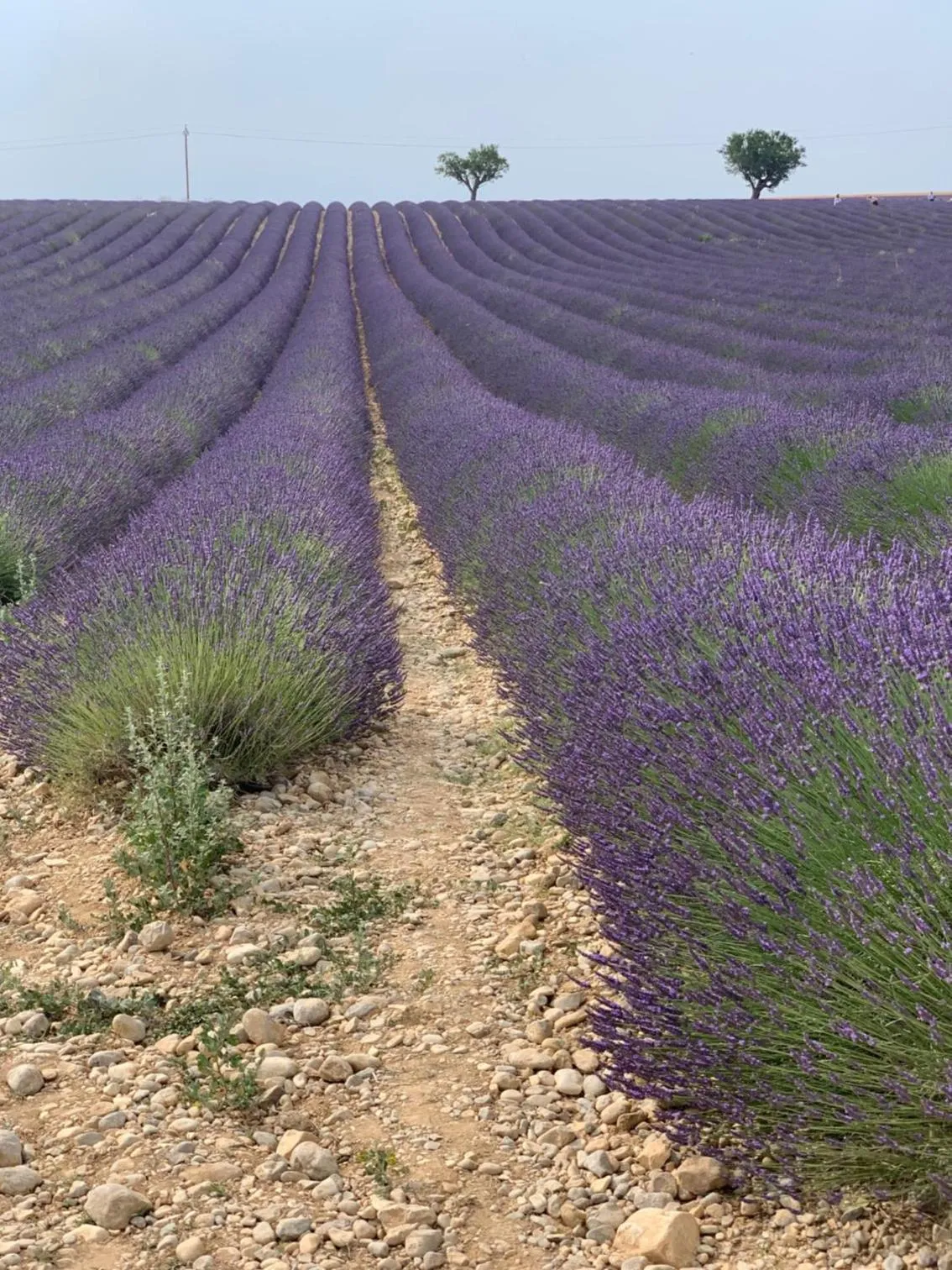 Nearby landmark in Studios Nuitée en Provence