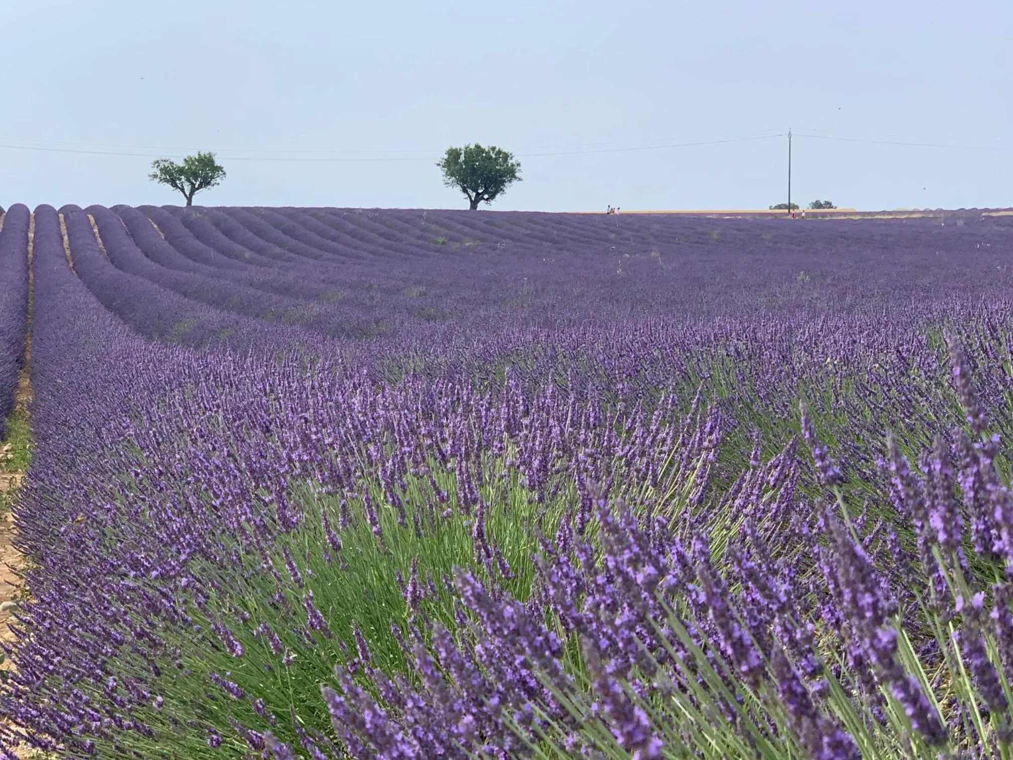 Activities in Studios Nuitée en Provence