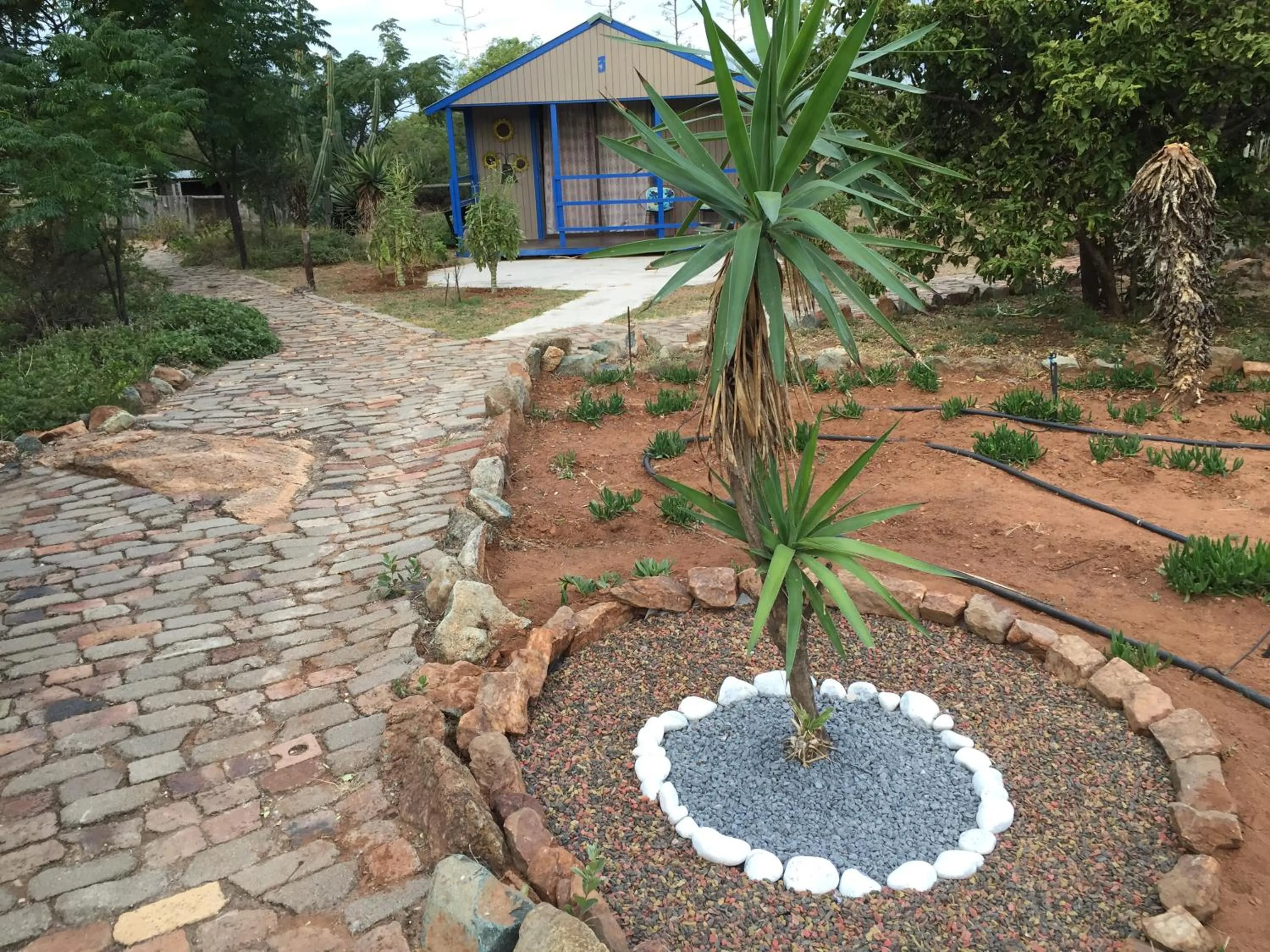 Garden in Klein Paradys Lodge - Polokwane