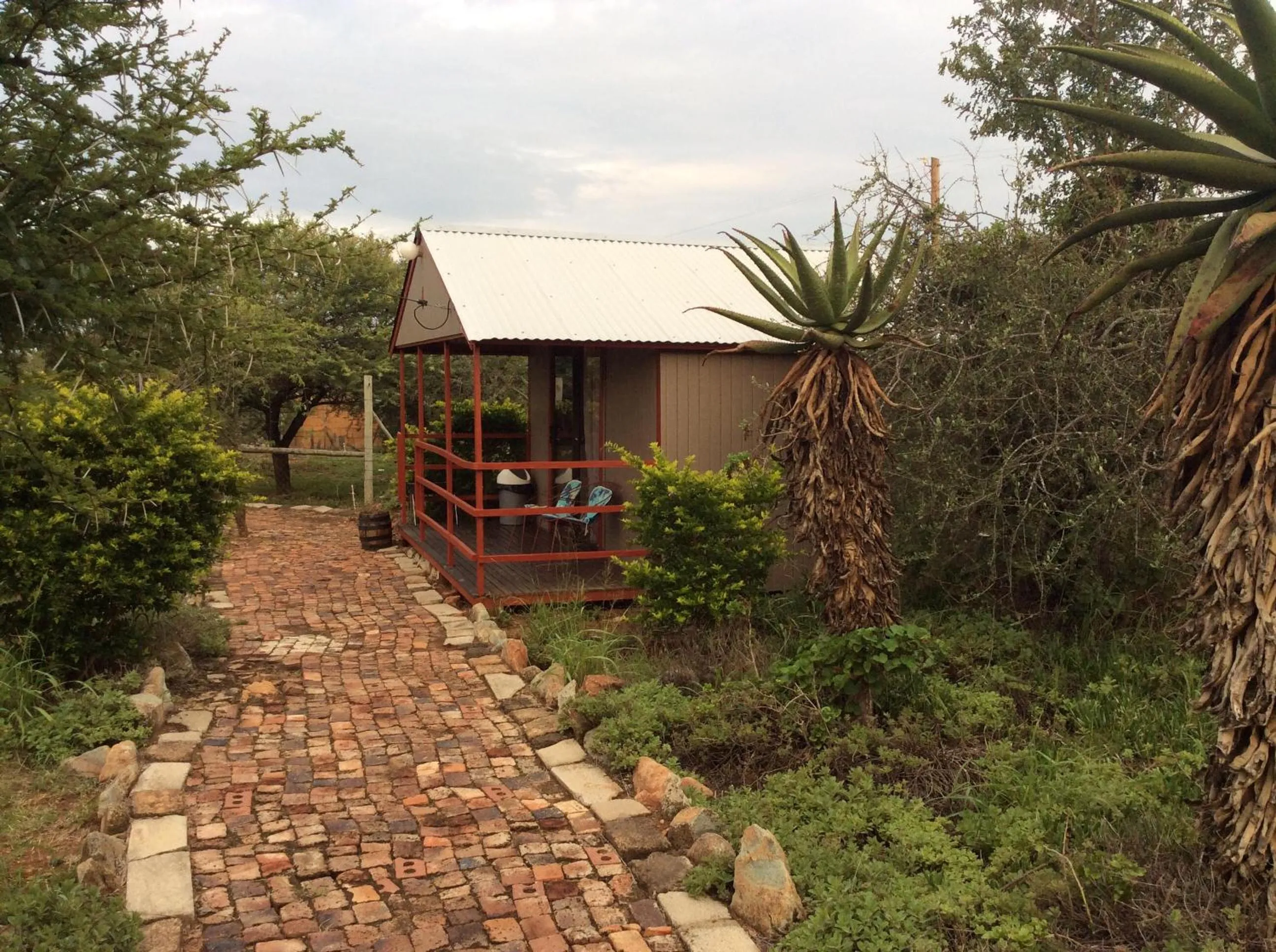 Garden in Klein Paradys Lodge - Polokwane