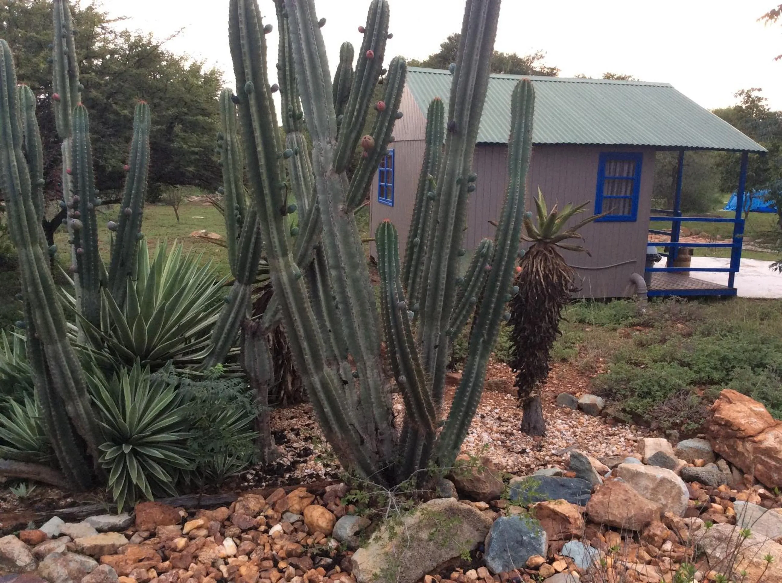 Garden in Klein Paradys Lodge - Polokwane