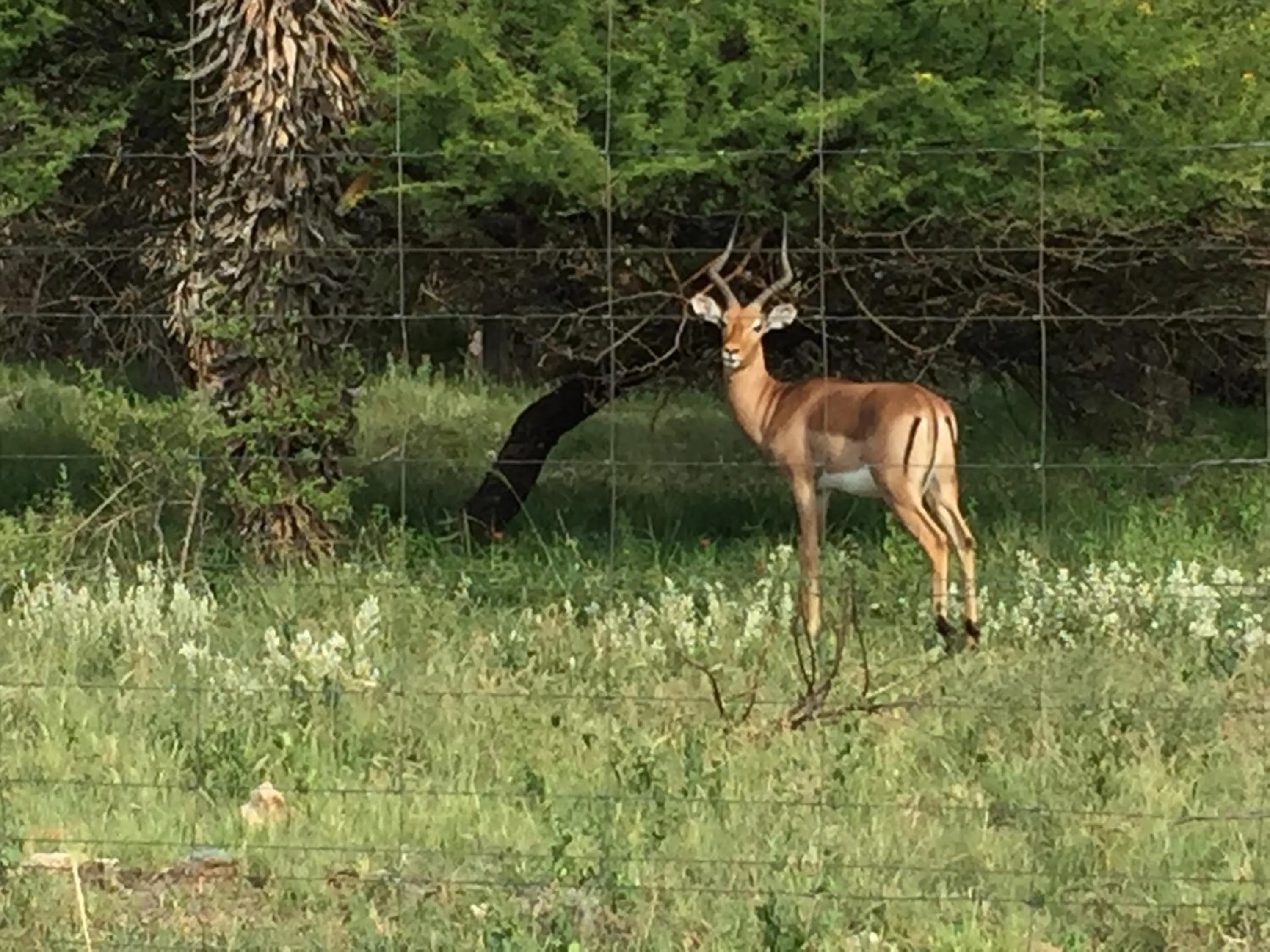 Property building in Klein Paradys Lodge - Polokwane