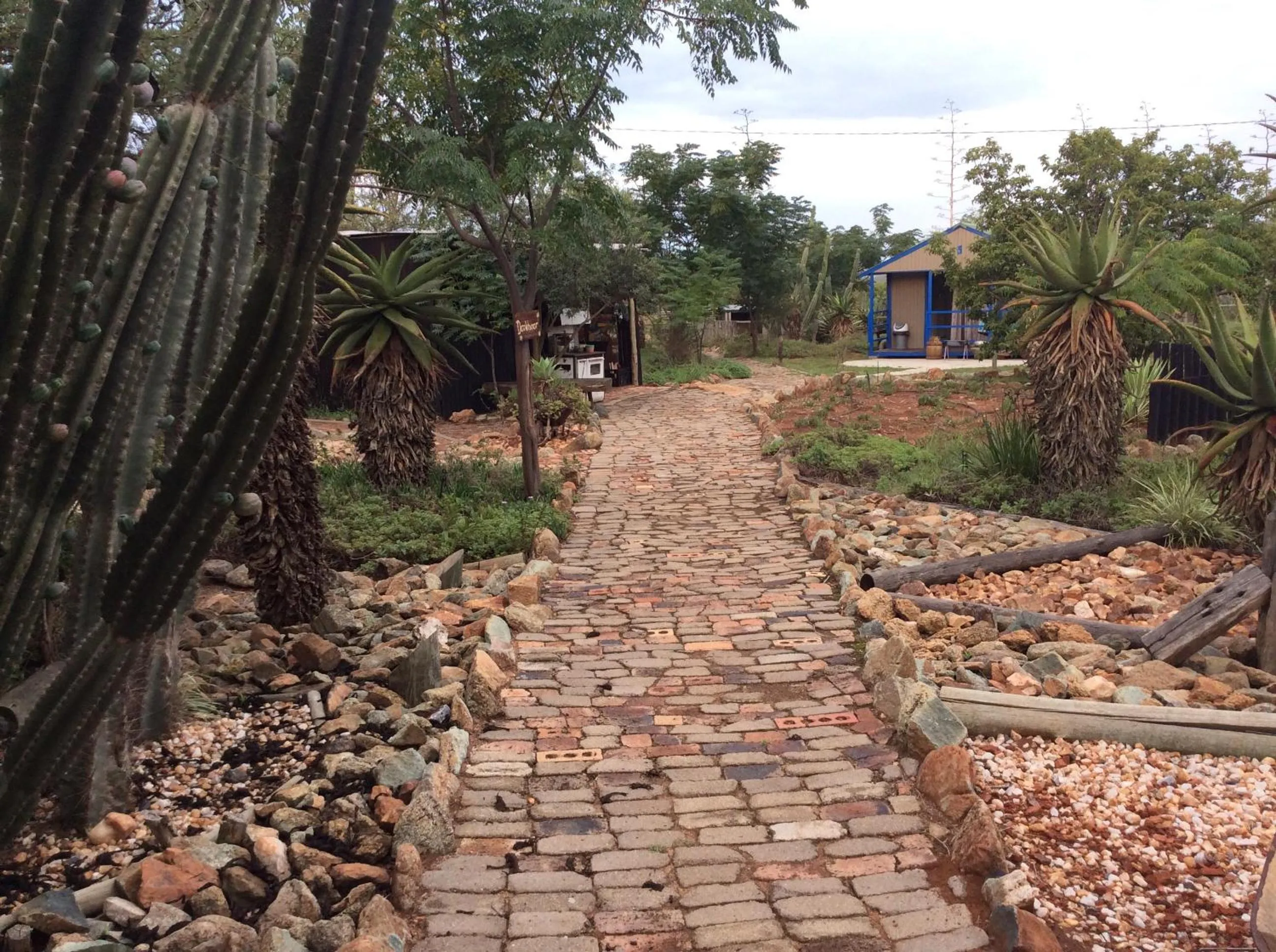 Garden in Klein Paradys Lodge - Polokwane