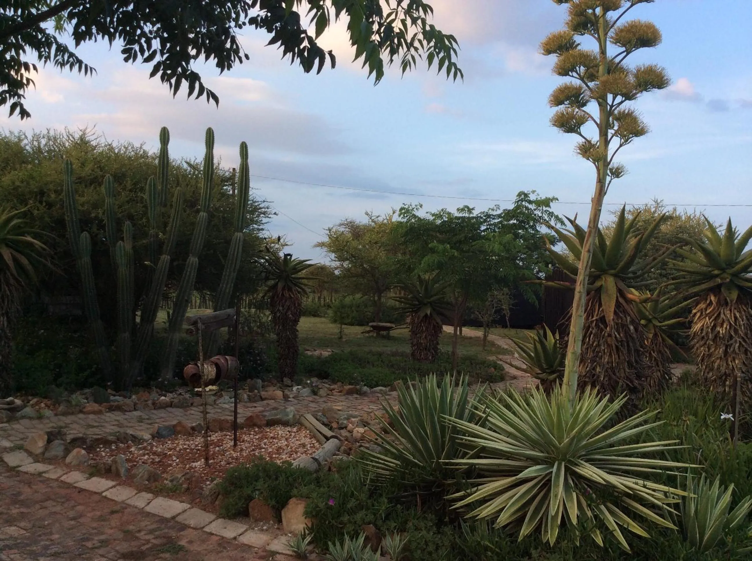Garden in Klein Paradys Lodge - Polokwane