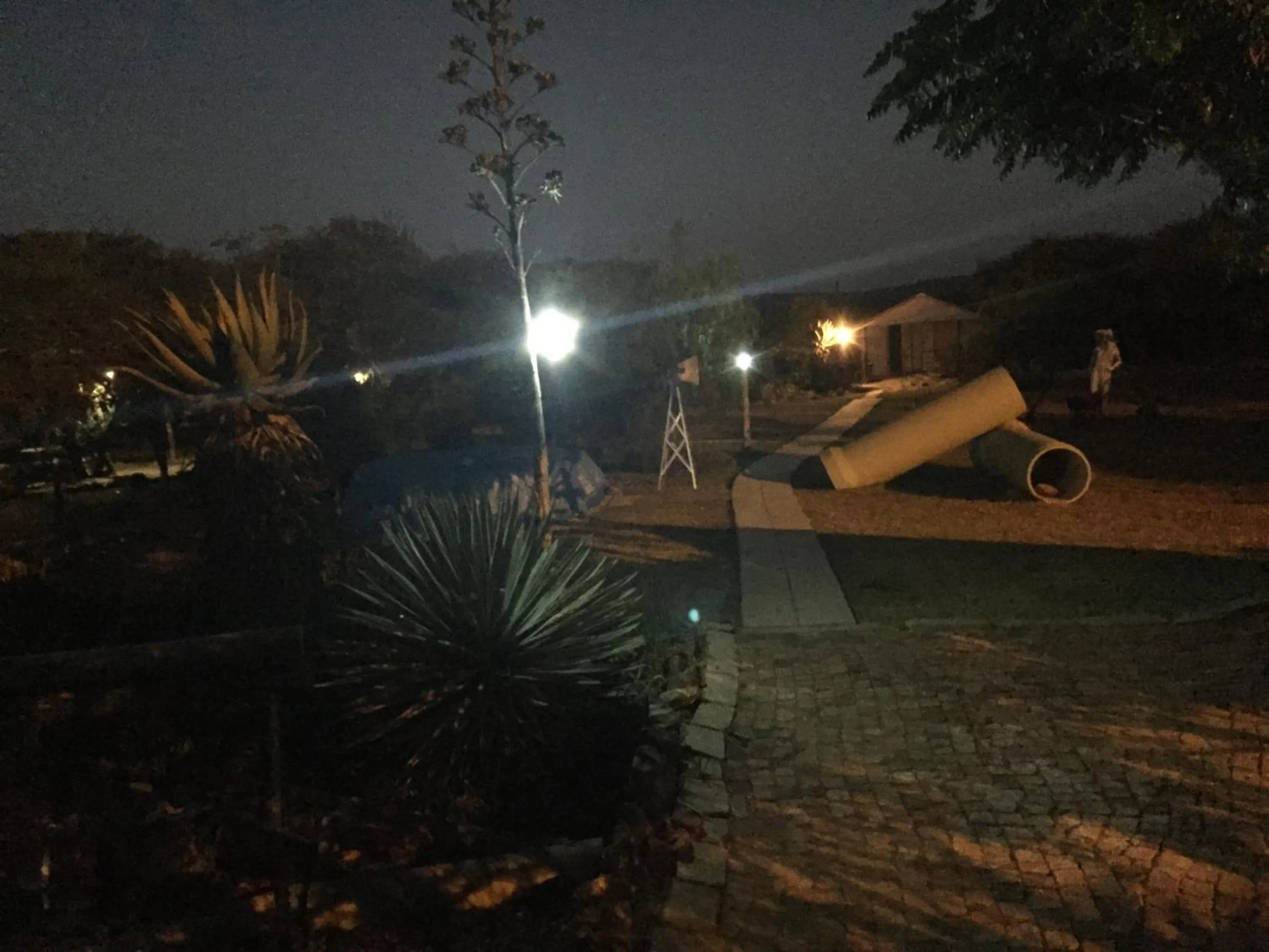 Garden in Klein Paradys Lodge - Polokwane