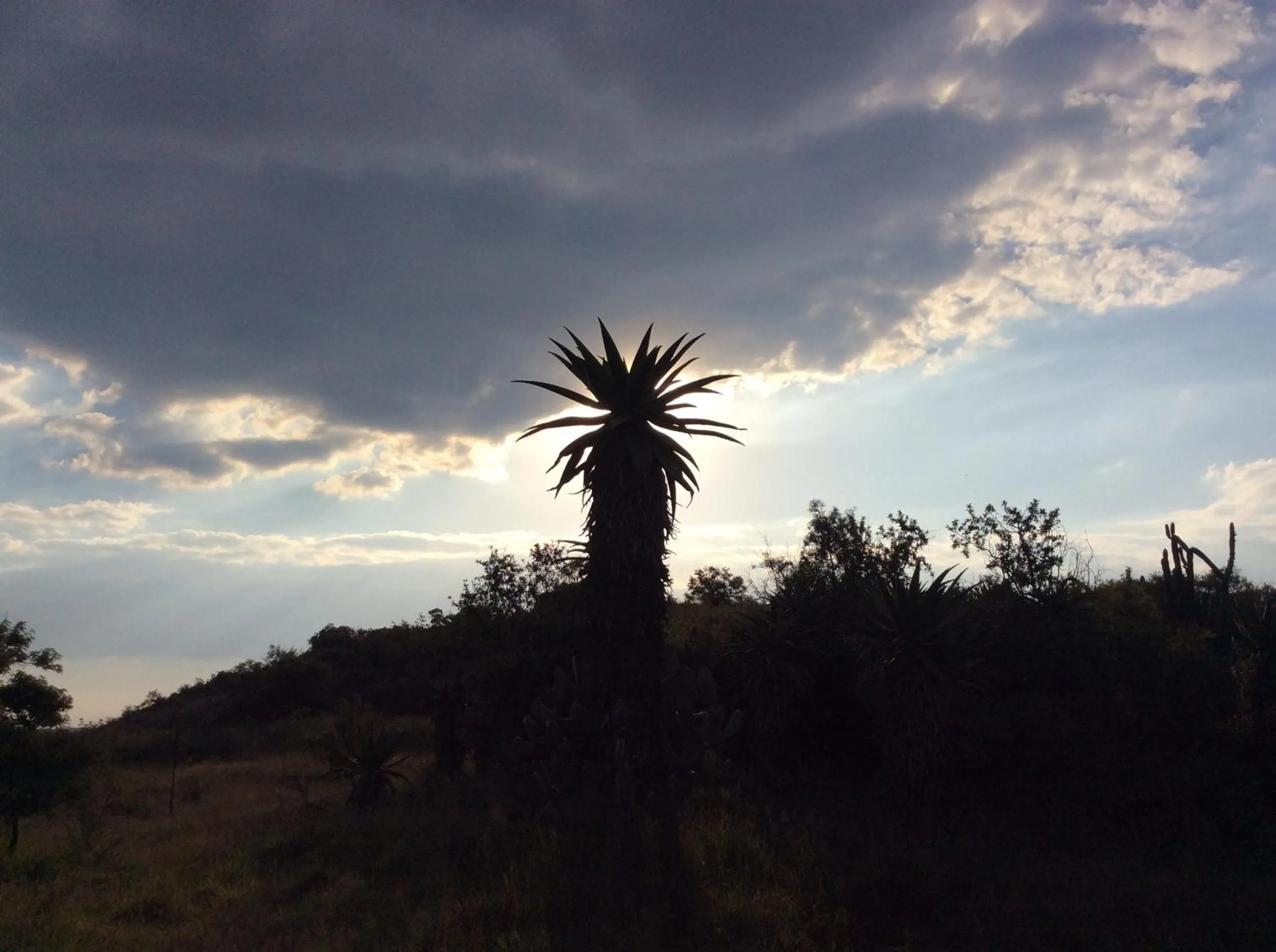 Natural landscape in Klein Paradys Lodge - Polokwane