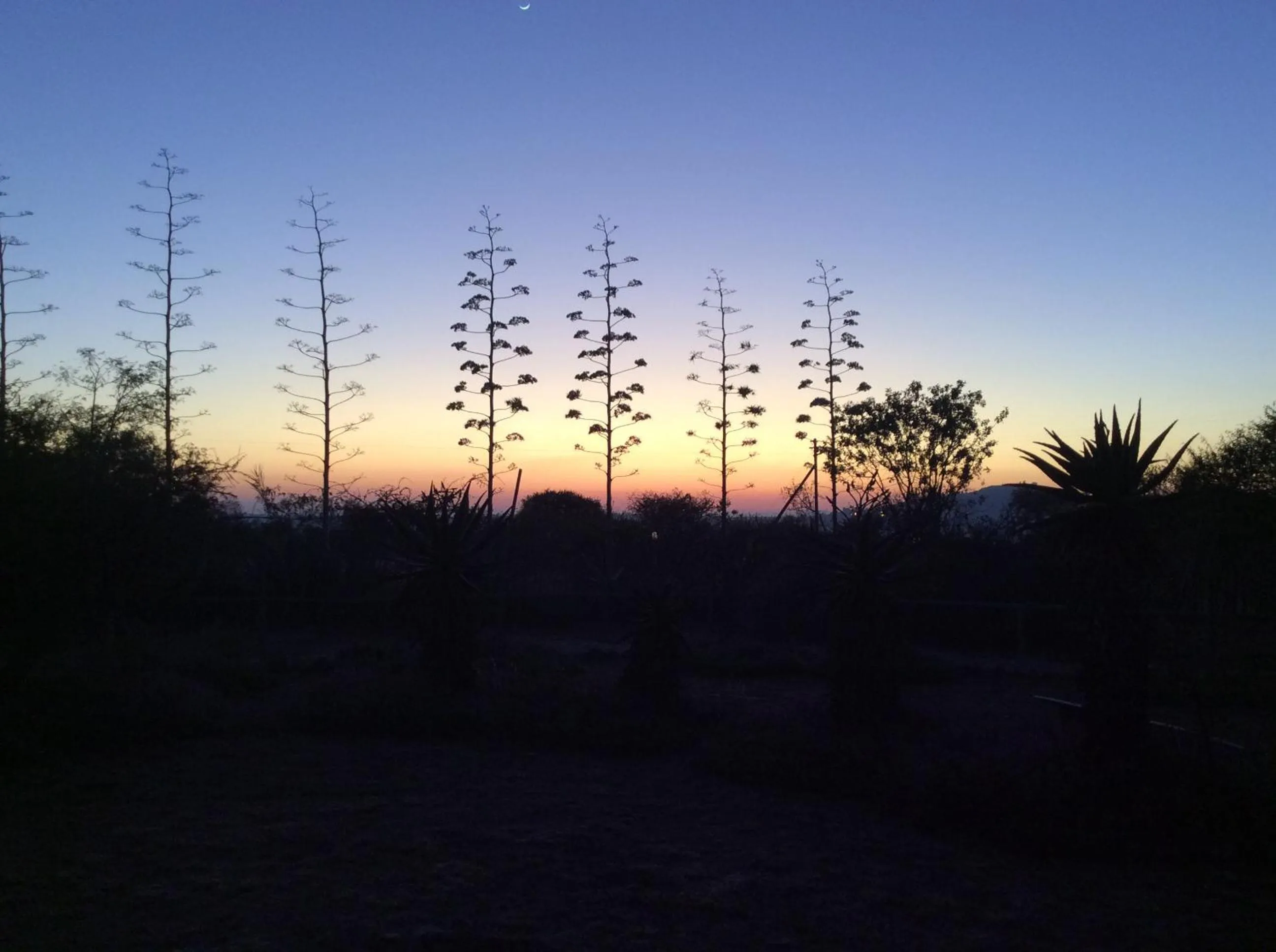 Natural landscape in Klein Paradys Lodge - Polokwane