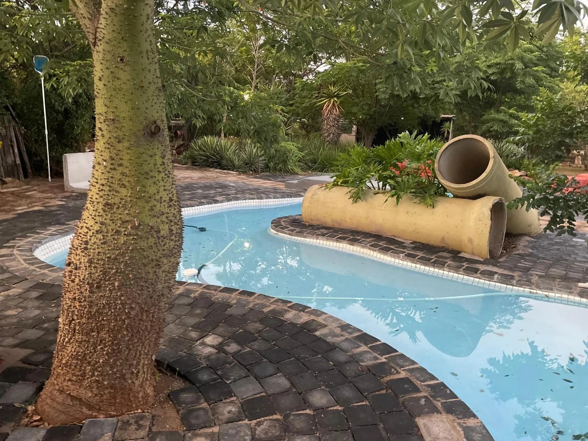 Swimming pool in Klein Paradys Lodge - Polokwane