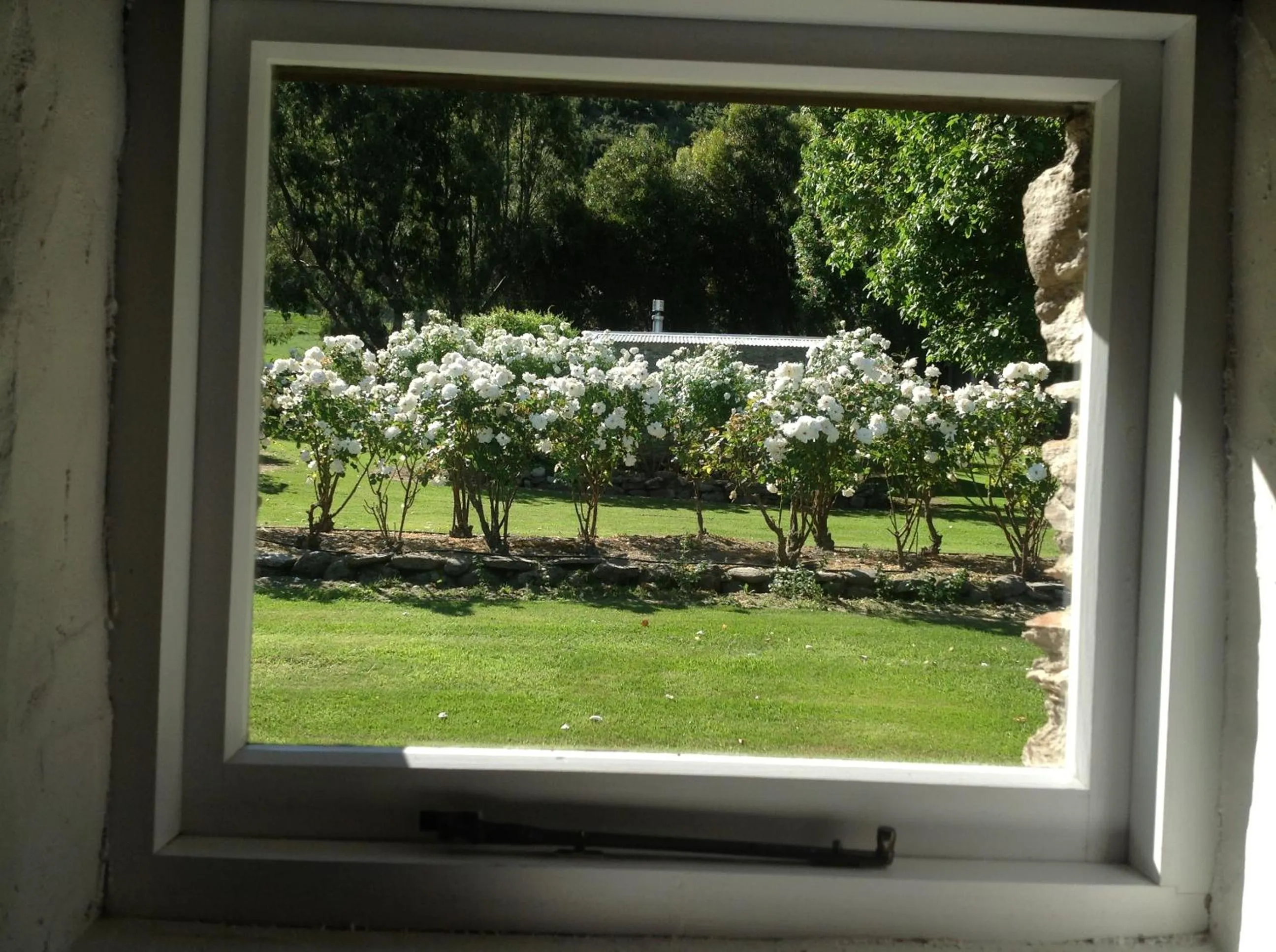 Garden view in Queensberry Inn
