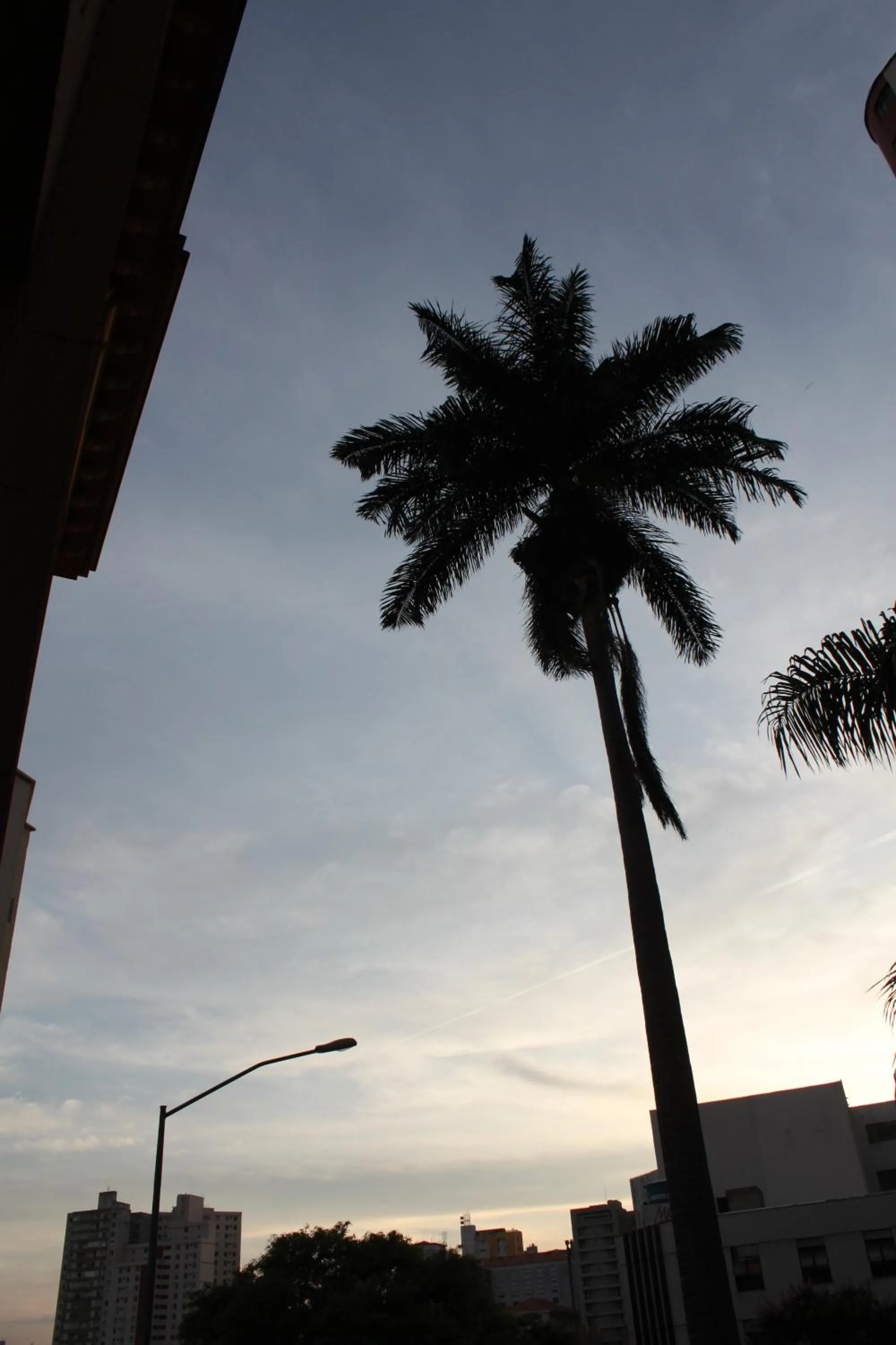 Other in Sul América Palace Hotel