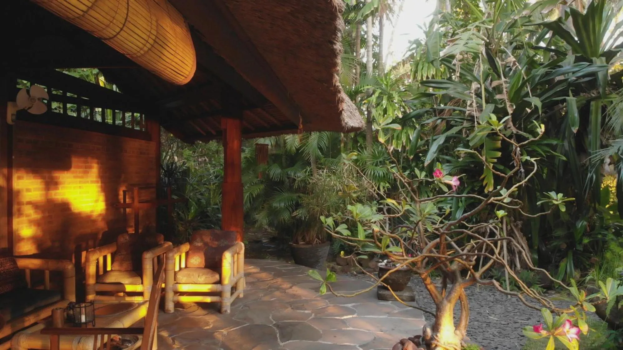 Garden in Ciliks Beach Garden