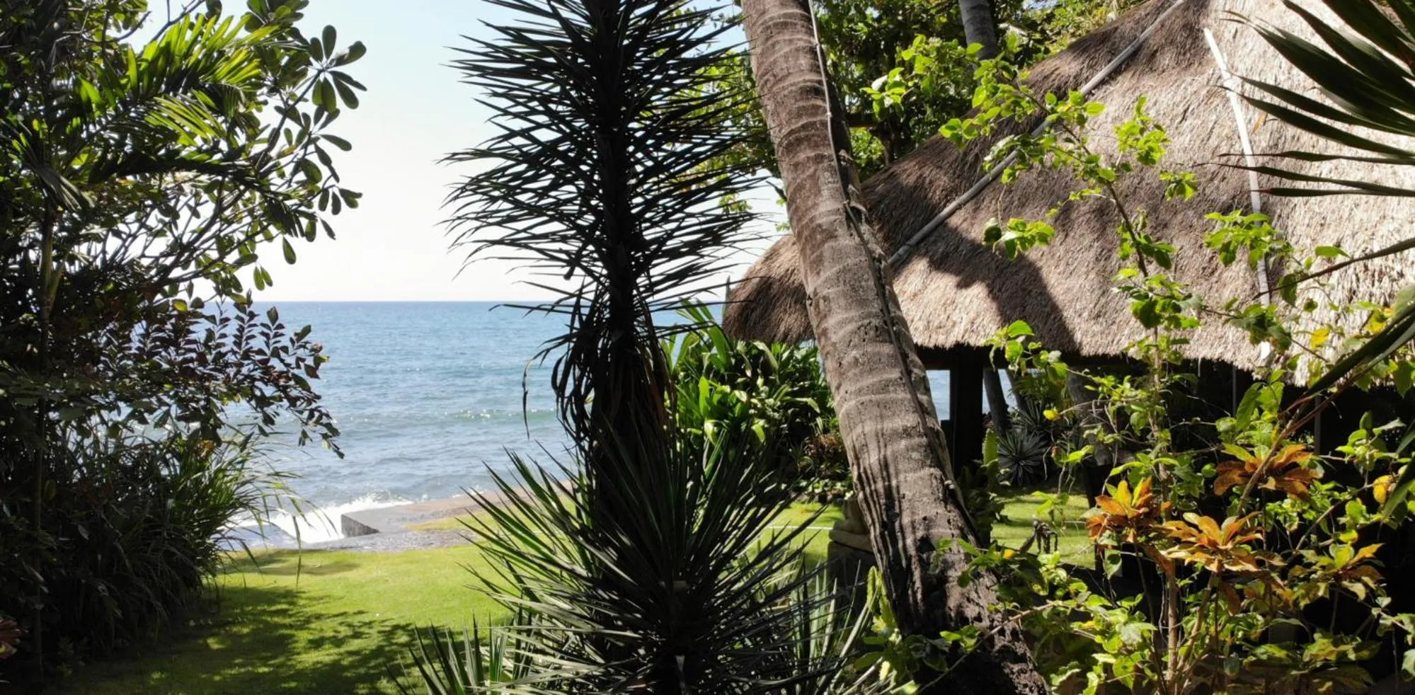 Garden in Ciliks Beach Garden