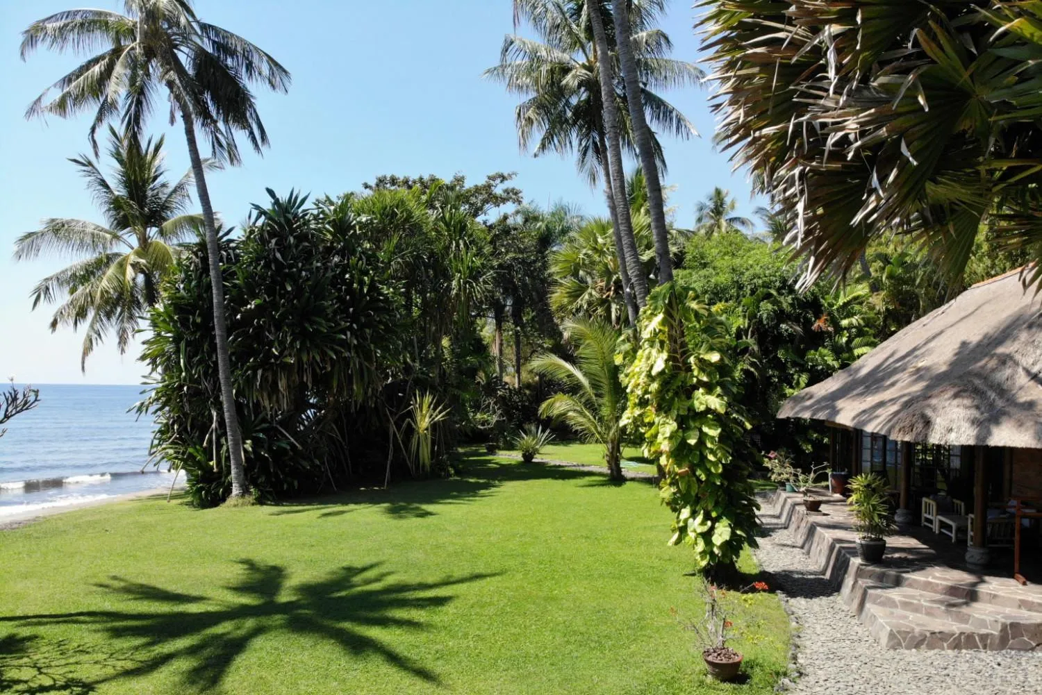 Garden in Ciliks Beach Garden