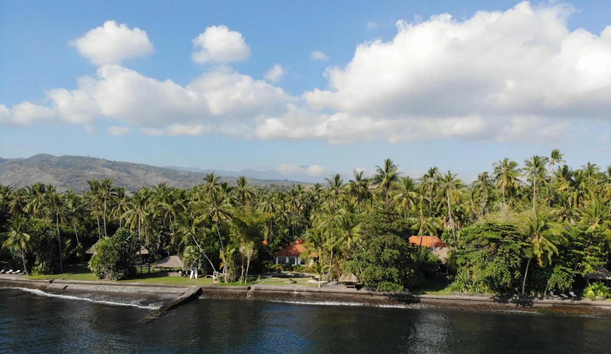 Natural landscape in Ciliks Beach Garden