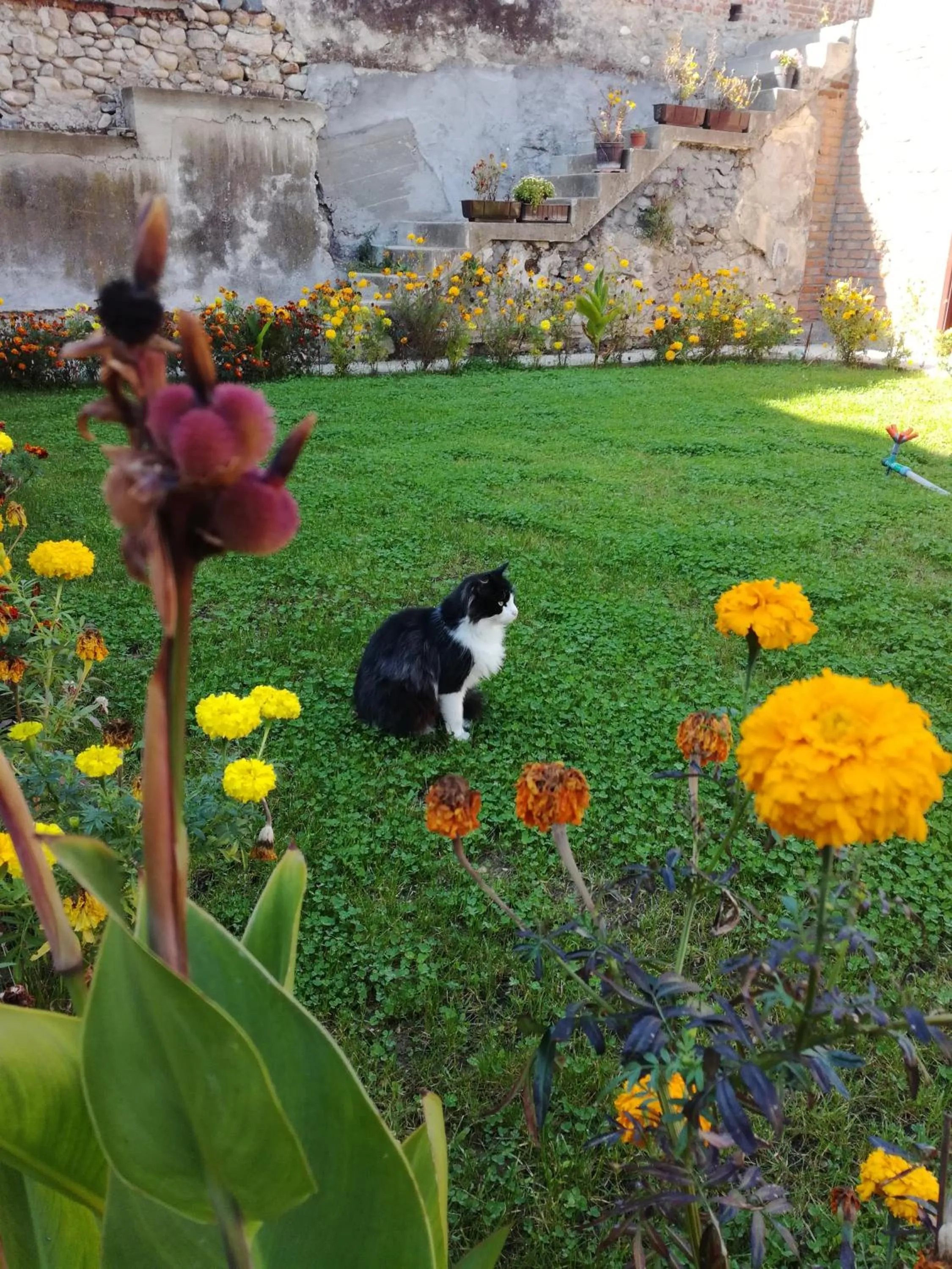 Natural landscape in Hotel Bulevar