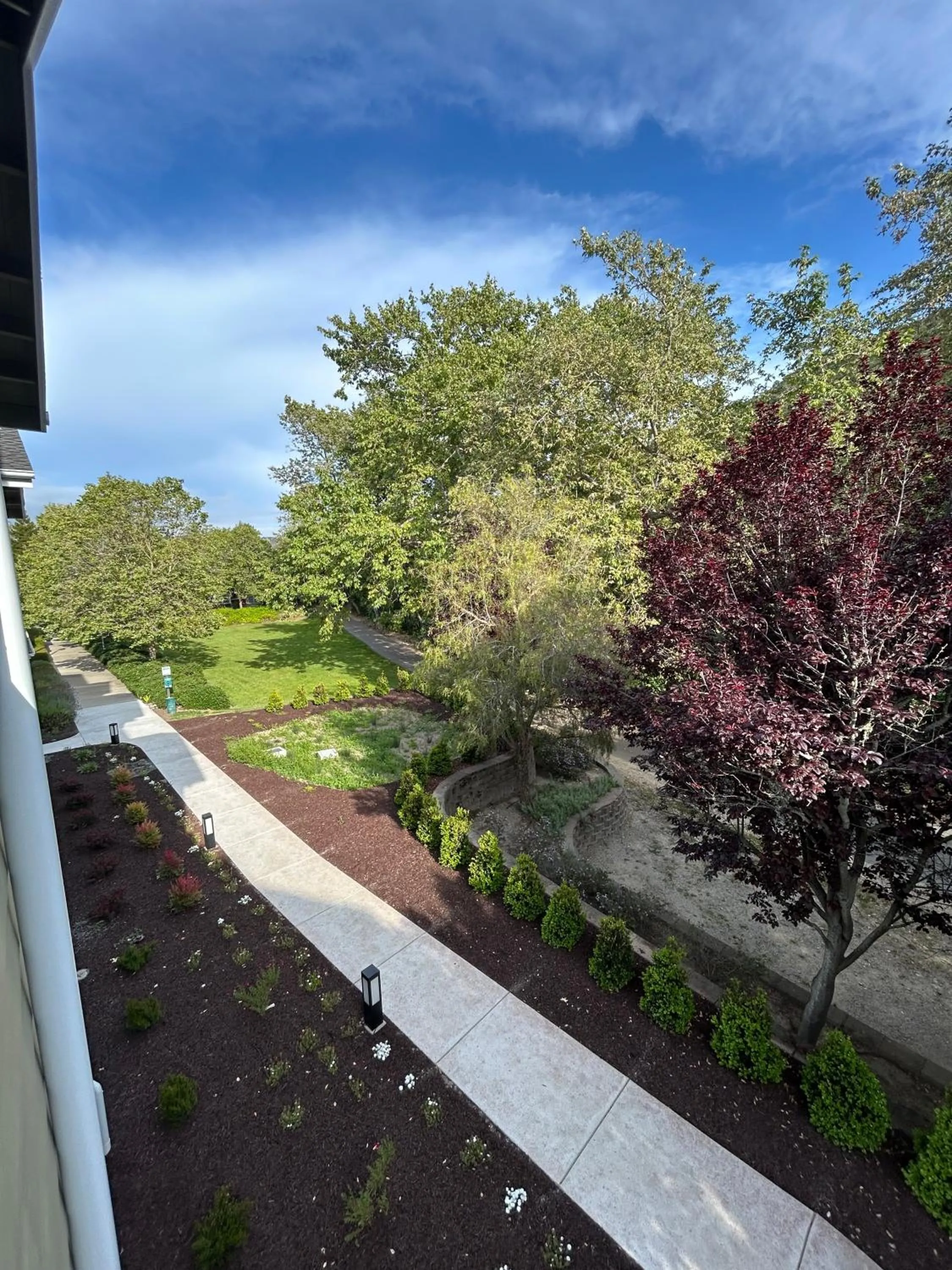 Natural landscape in Avila Village Inn