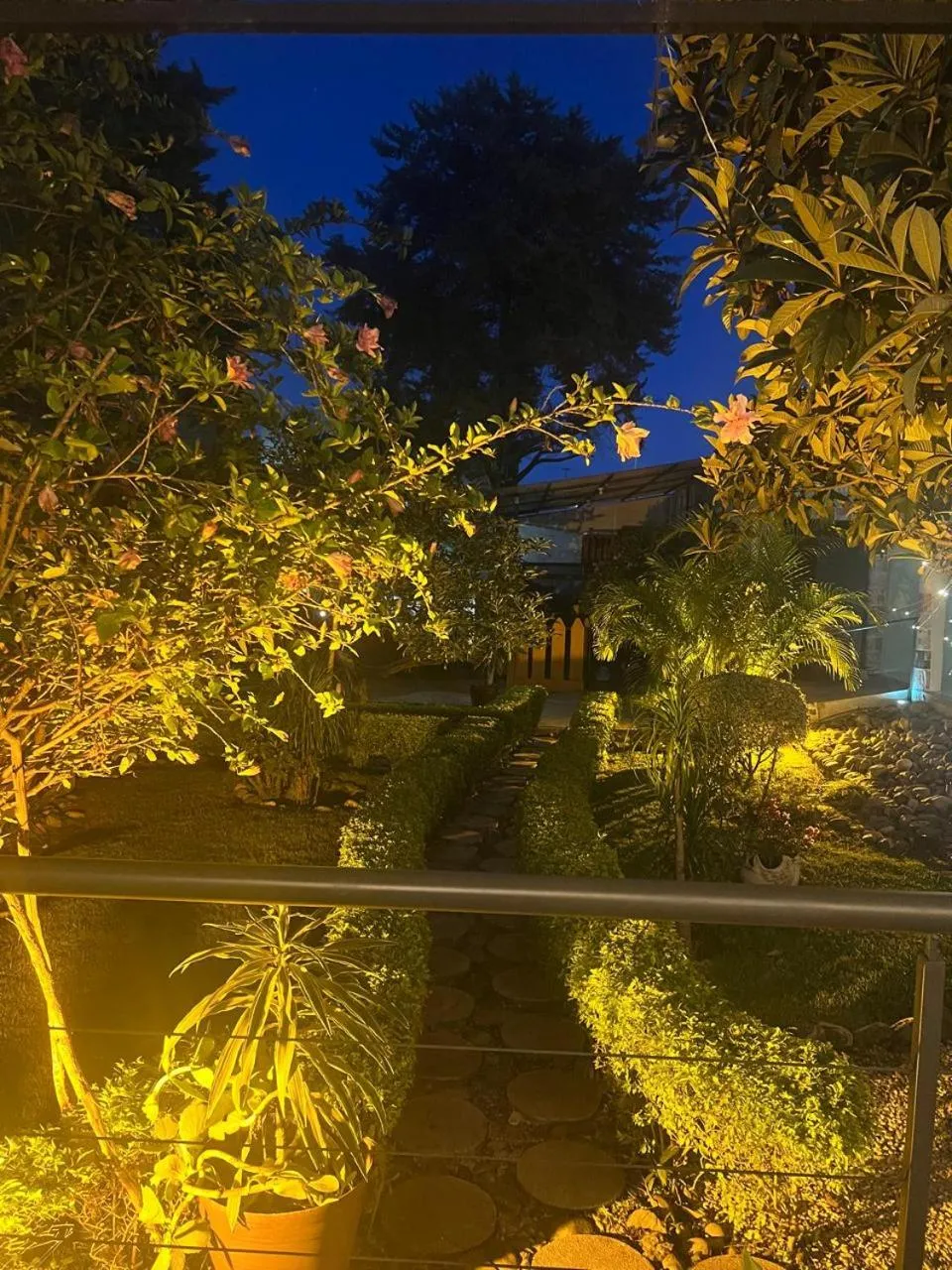 Garden view in Hotel Casa Caelum