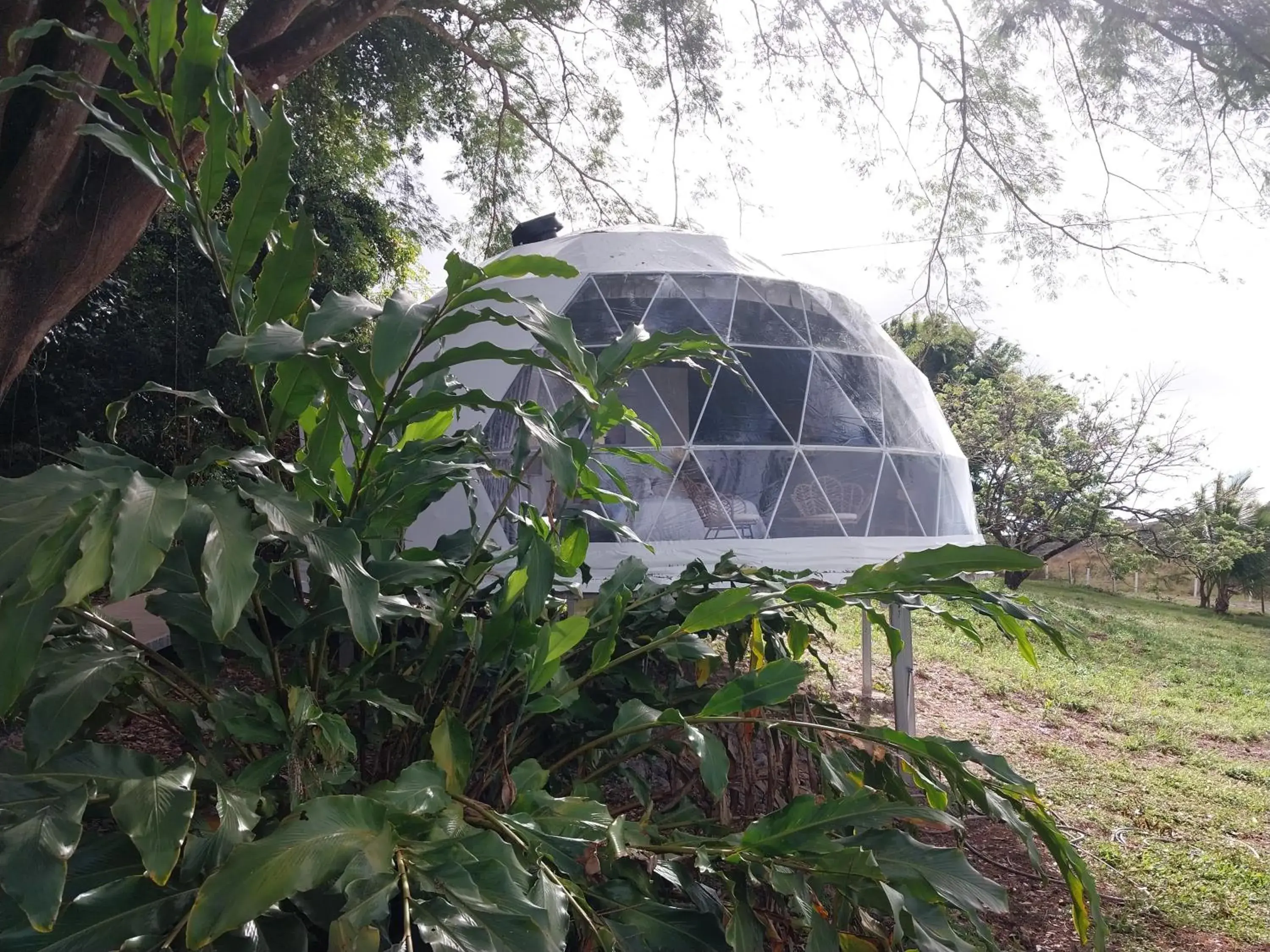 Tent in Vida Aventura Ranch Tent in Vida Aventura Ranch