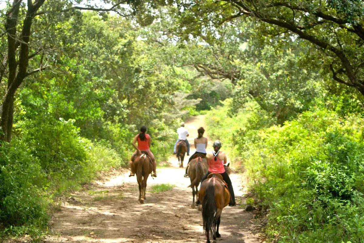 Horse-riding in Vida Aventura Ranch