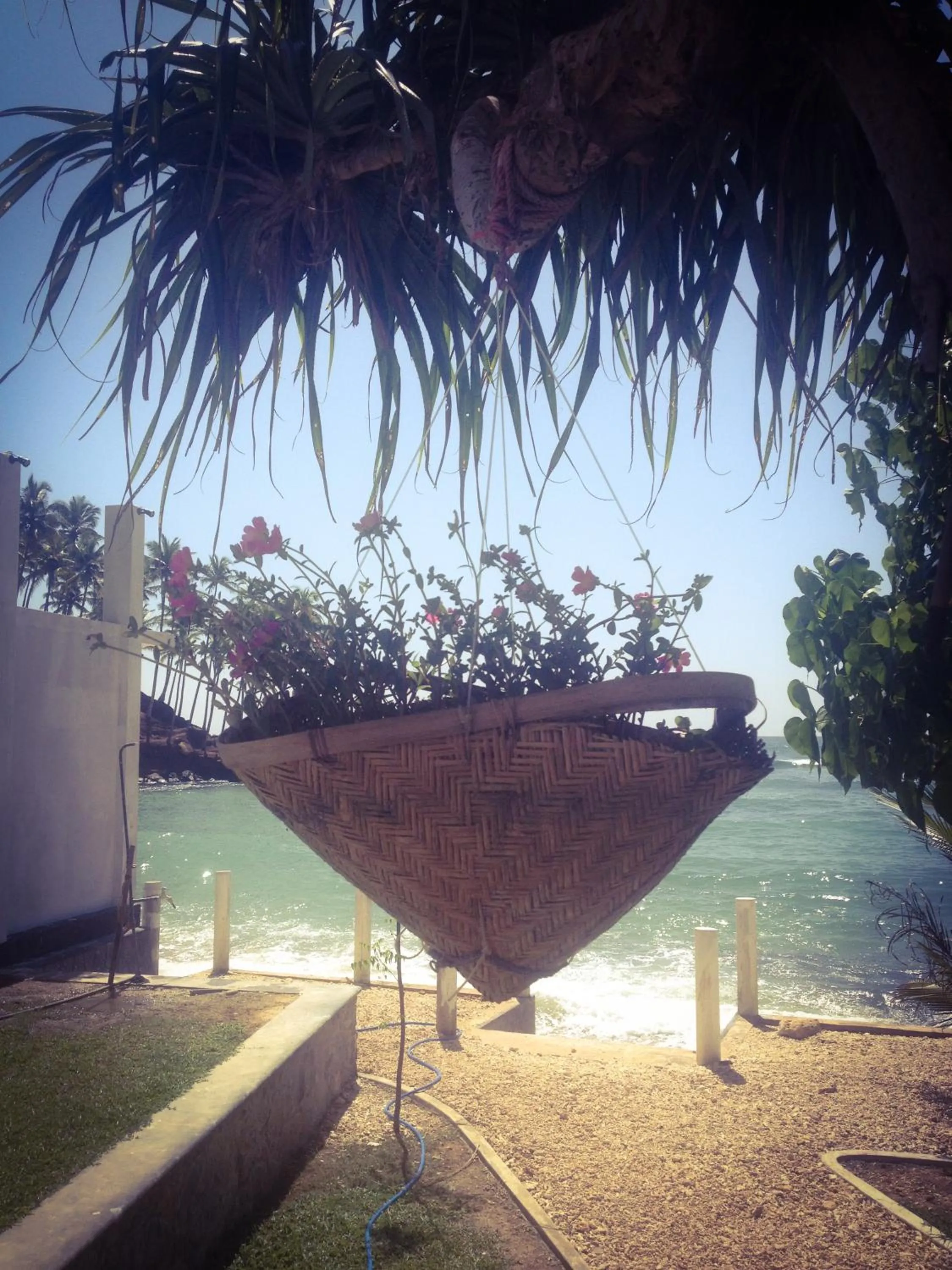 Decorative detail in Mirissa Seastar