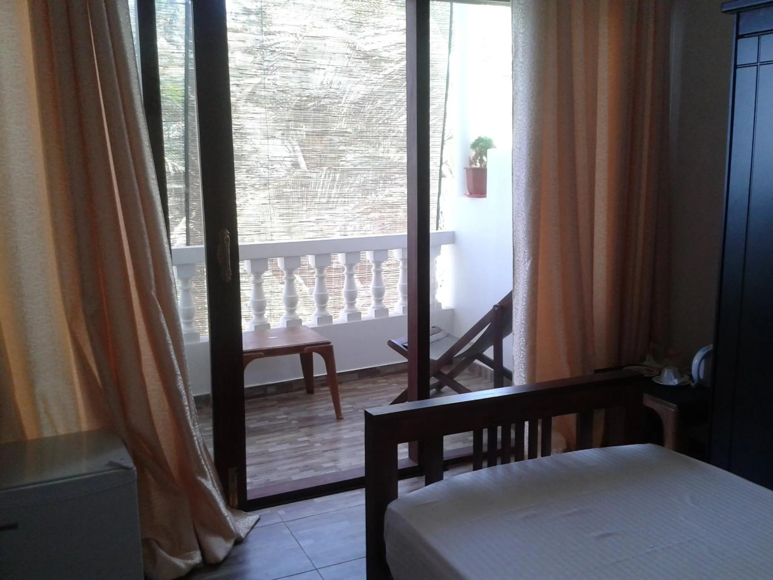 Day in Mirissa Seastar