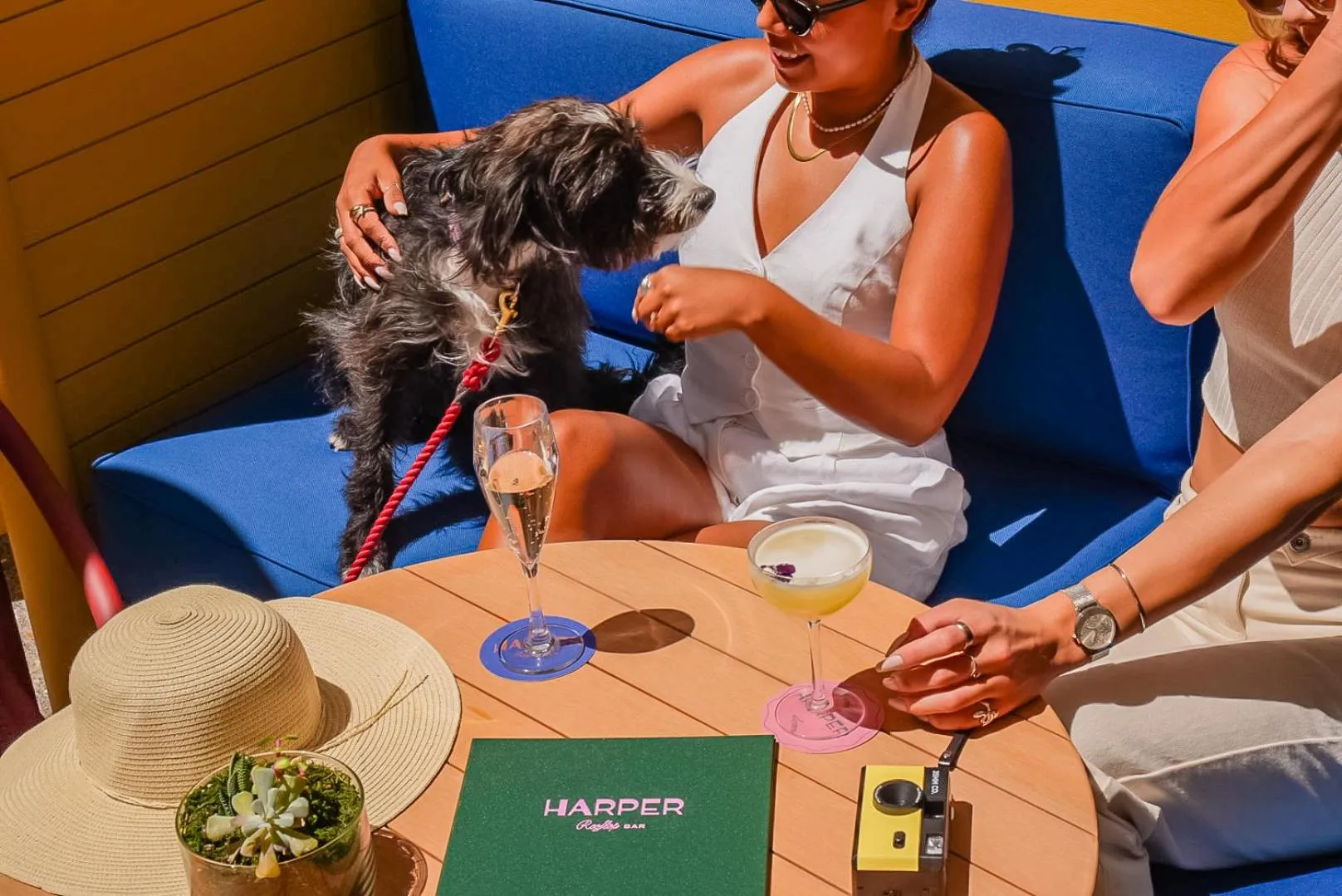 Lounge or bar in Kimpton Margot Sydney by IHG