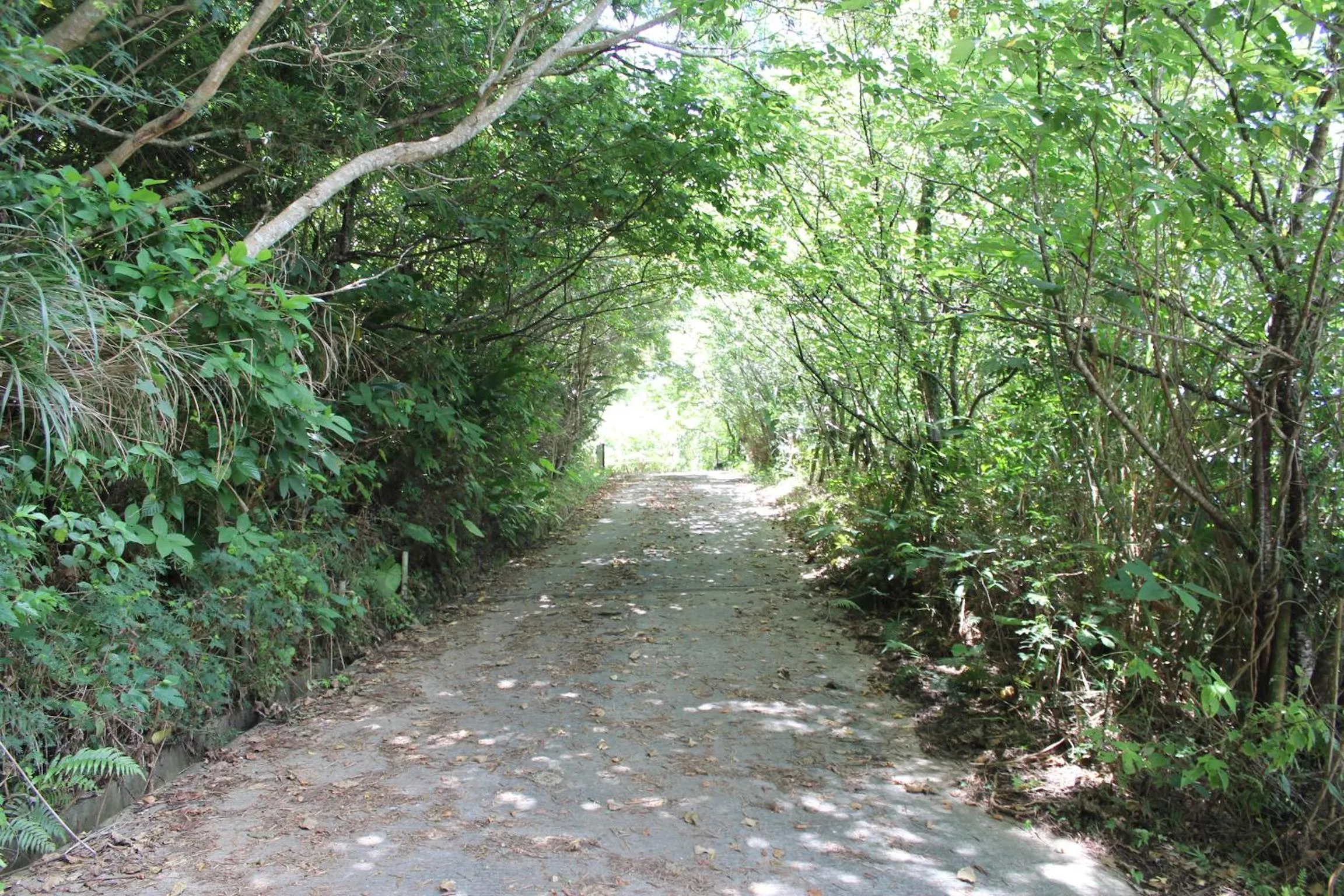 Off site in PANORAMA Ocean View Cottage