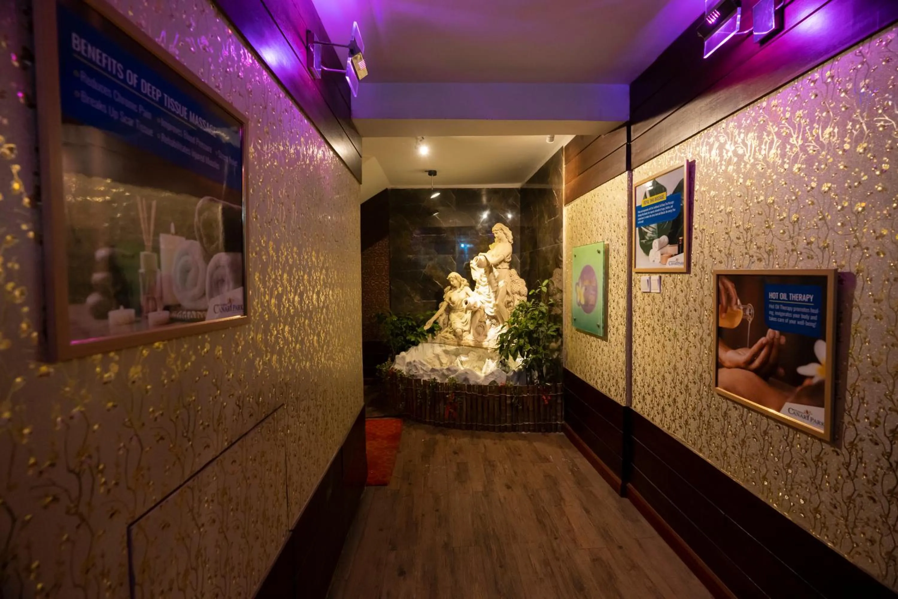 Spa and wellness centre/facilities in Hotel Bengal Canary Park