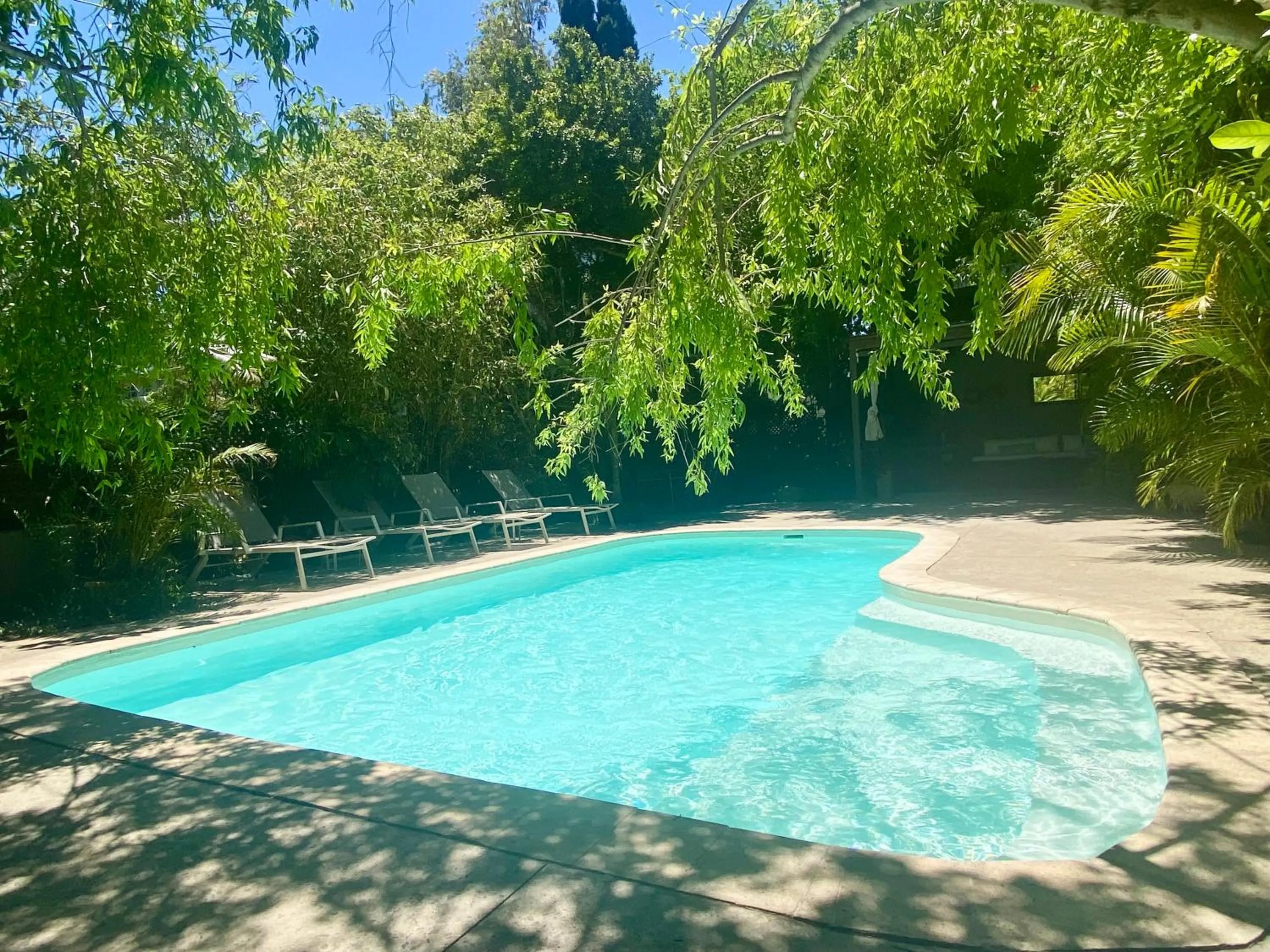 Spring in Cape Standard Guest House