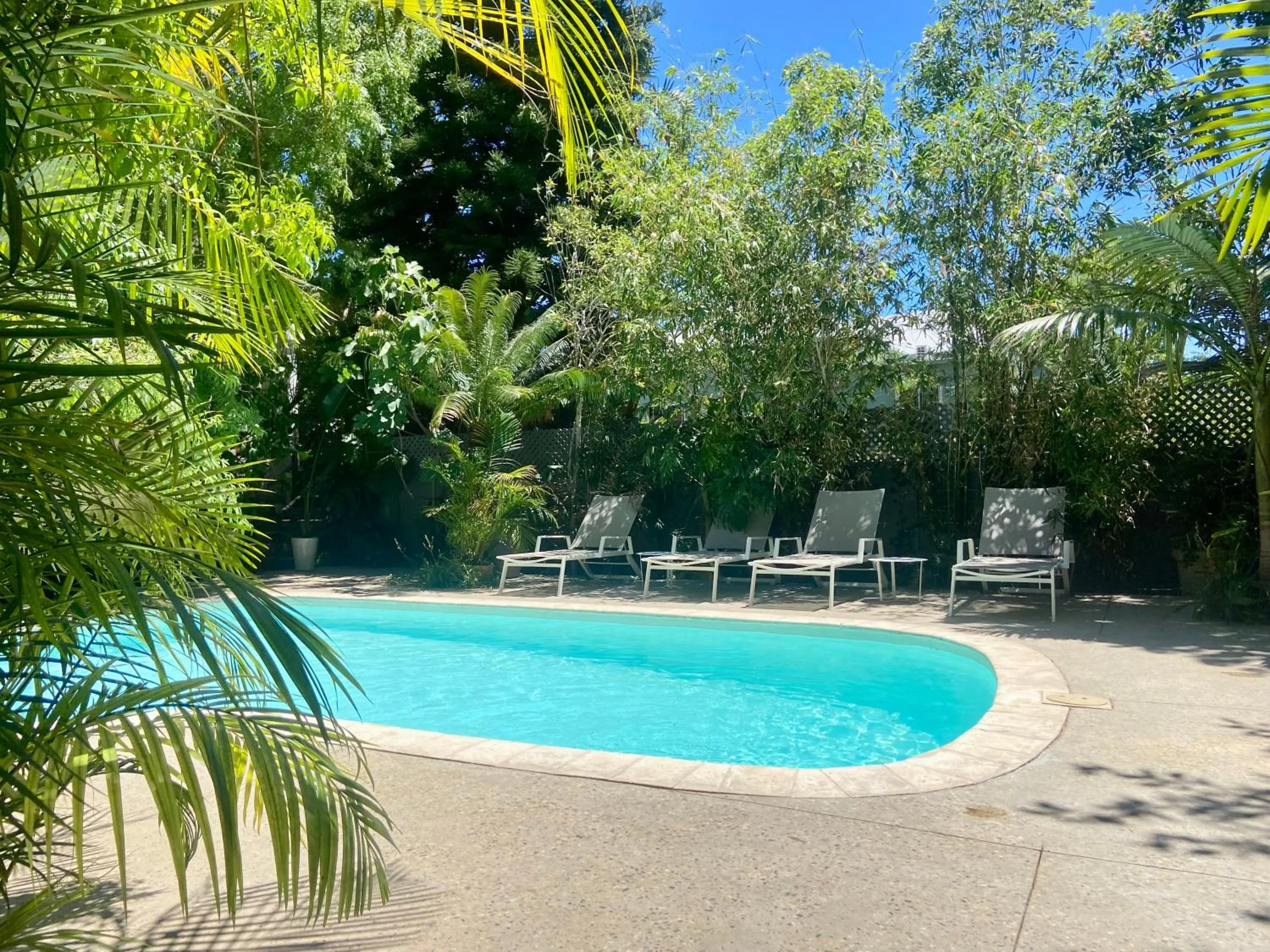 Spring in Cape Standard Guest House