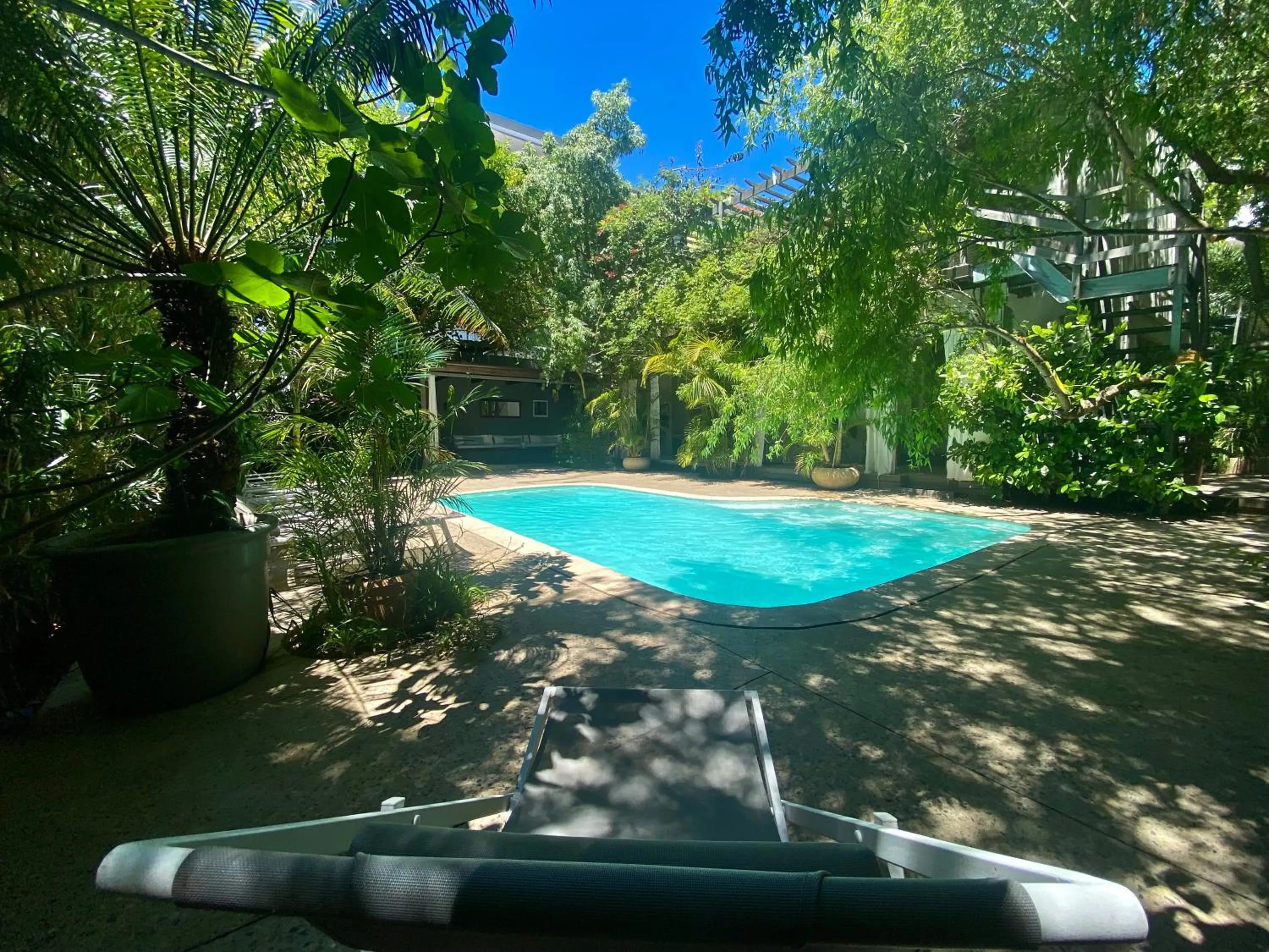 Spring in Cape Standard Guest House