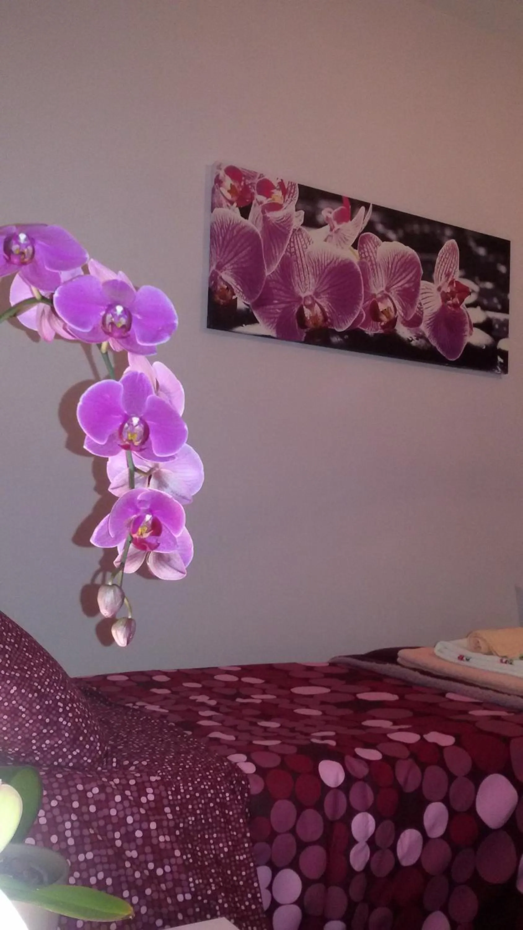 Bed in B&B Interno 8