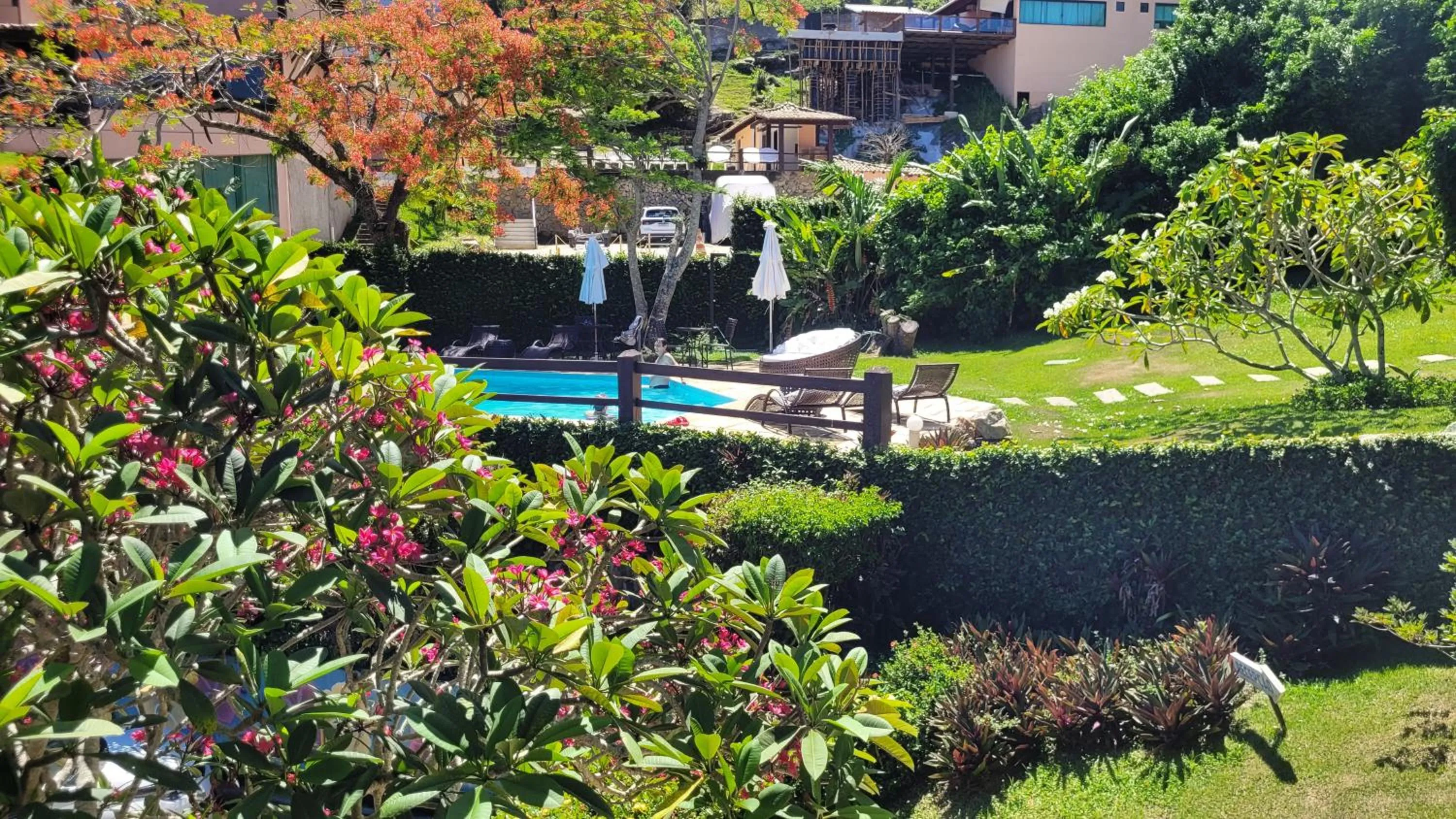 Garden in Hibiscus Beach