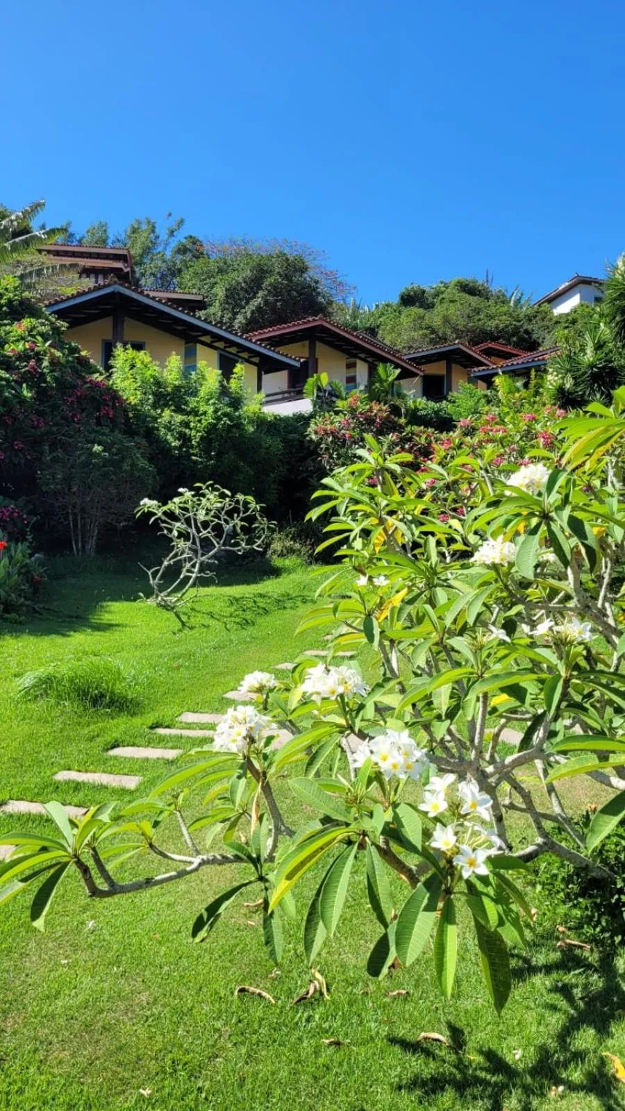 Property building in Hibiscus Beach