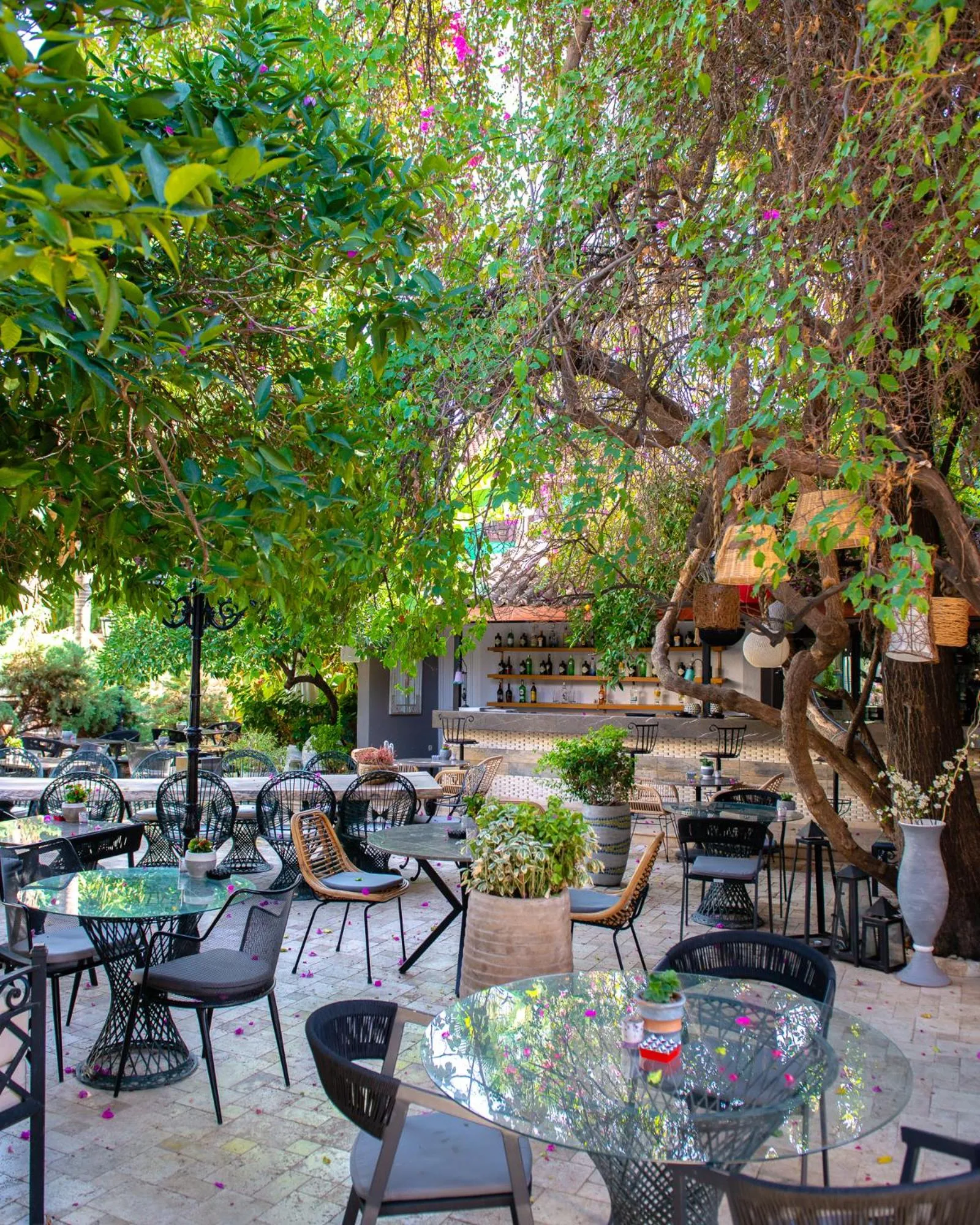 Garden in Tuvana Hotel