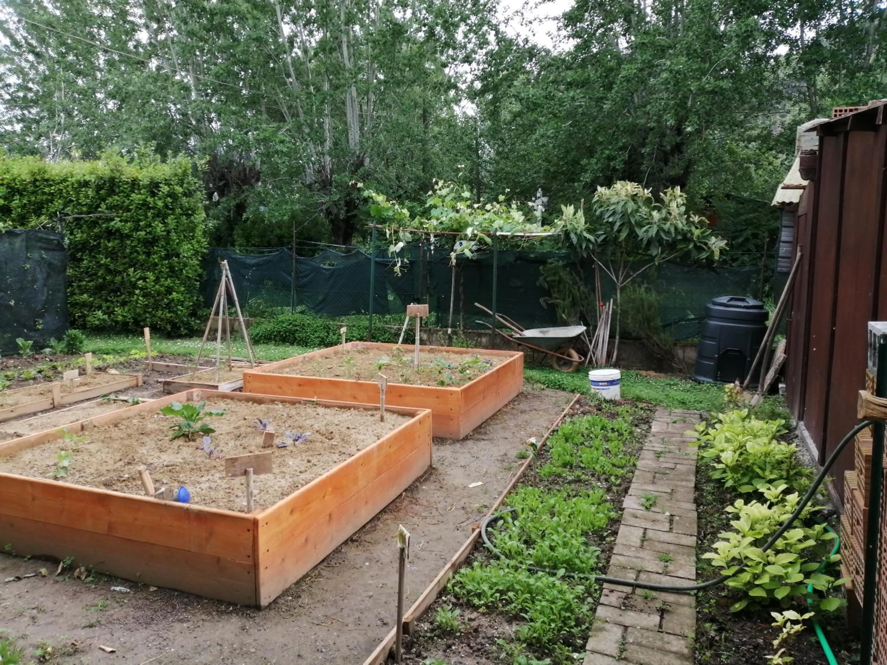 Garden in Villa Oasi