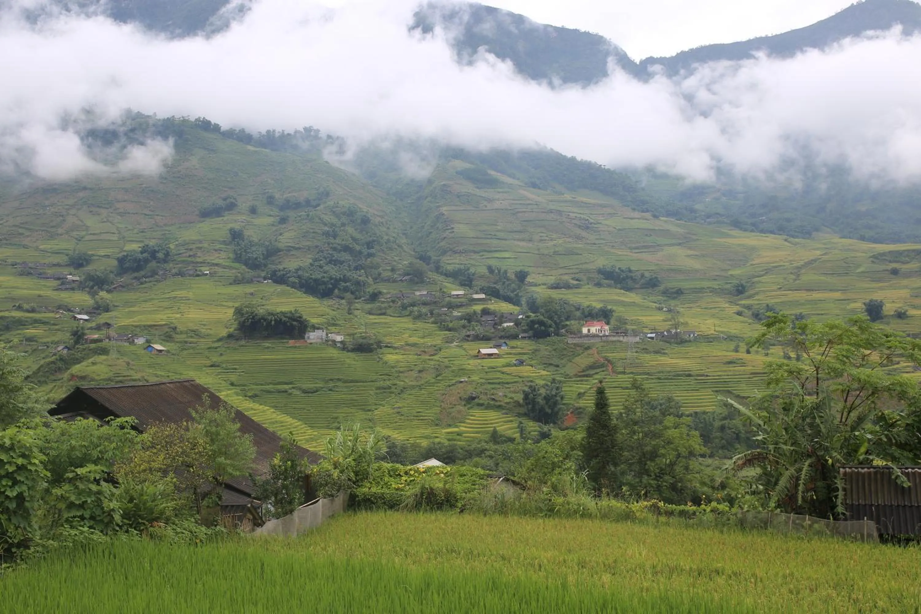 Nearby landmark in Luckydaisy Buffalo House